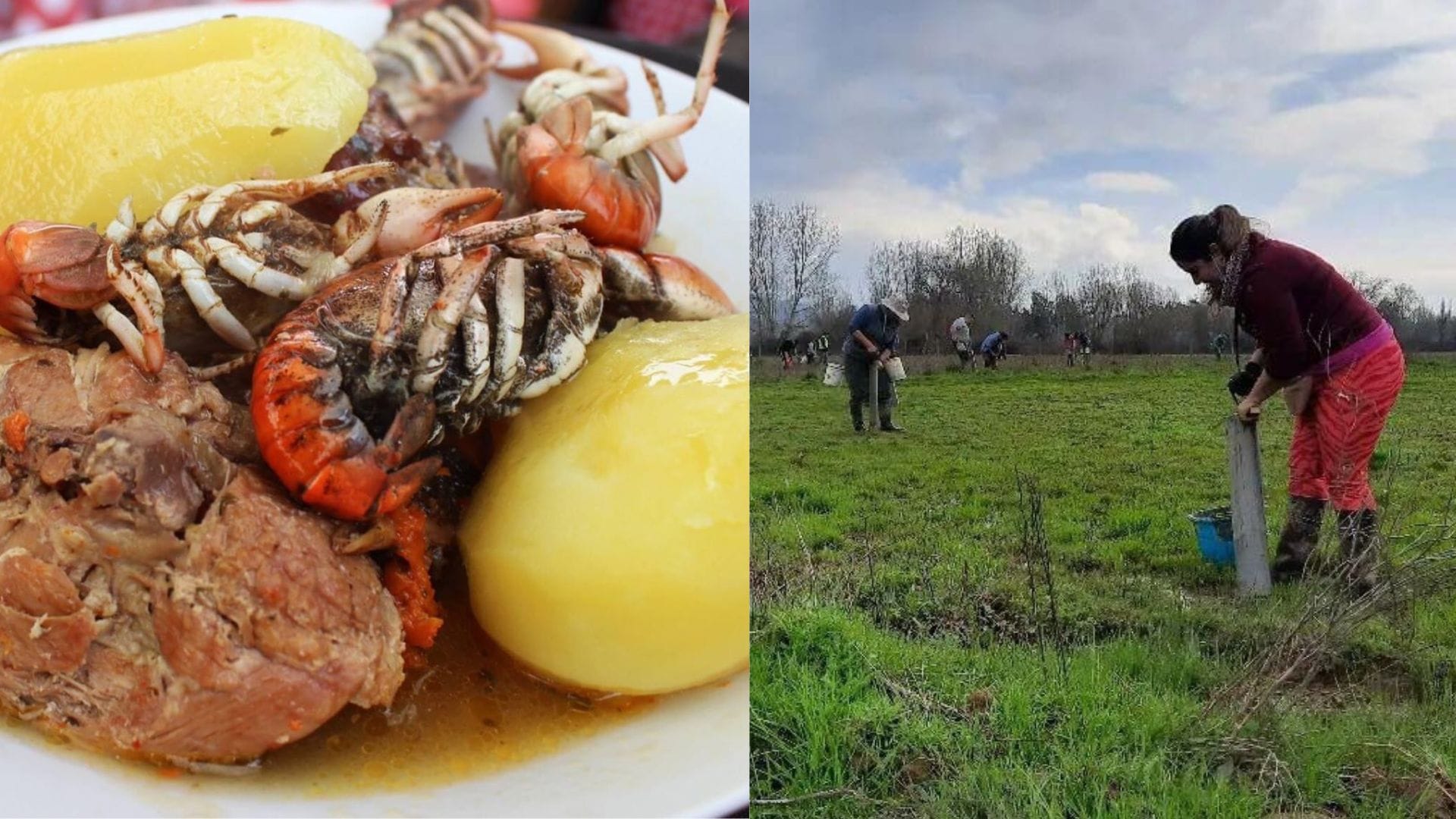 La tradicional Fiesta del Camarón se tomará Santa Juana el próximo fin de semana