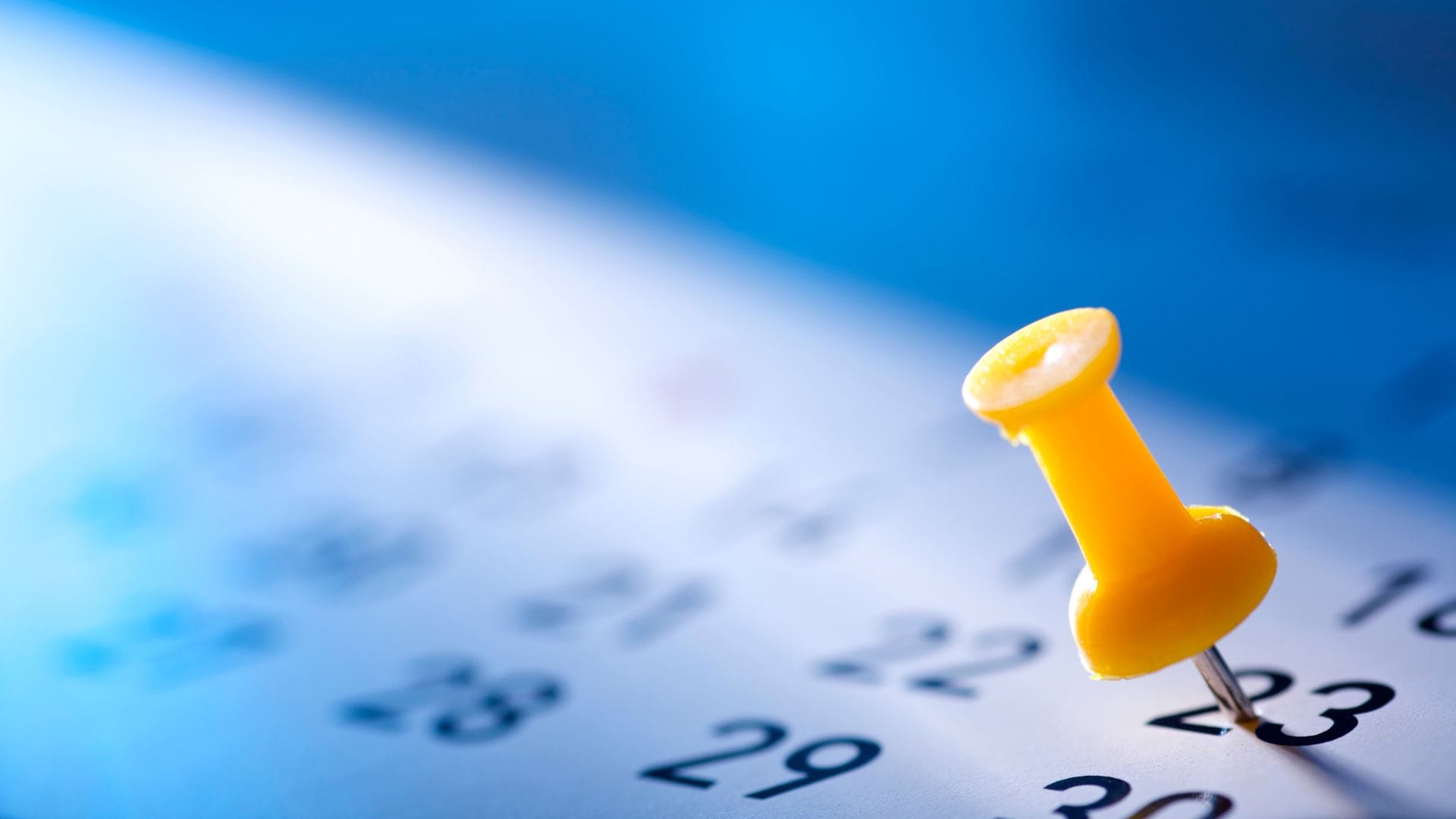Feriados en Chile: Estos son los días festivos para el mes de noviembre de 2023