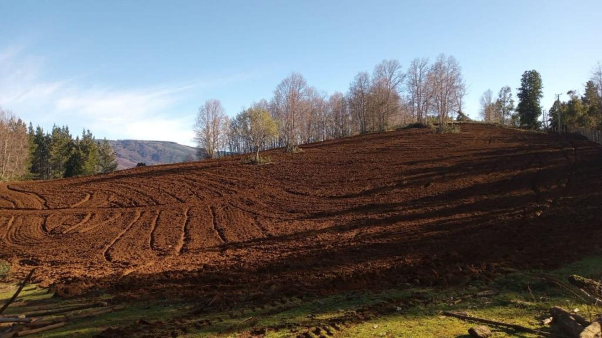 Alianza busca impulsar a 300 familias de agricultores afectados por incendios forestales en el Biobío y La Araucanía