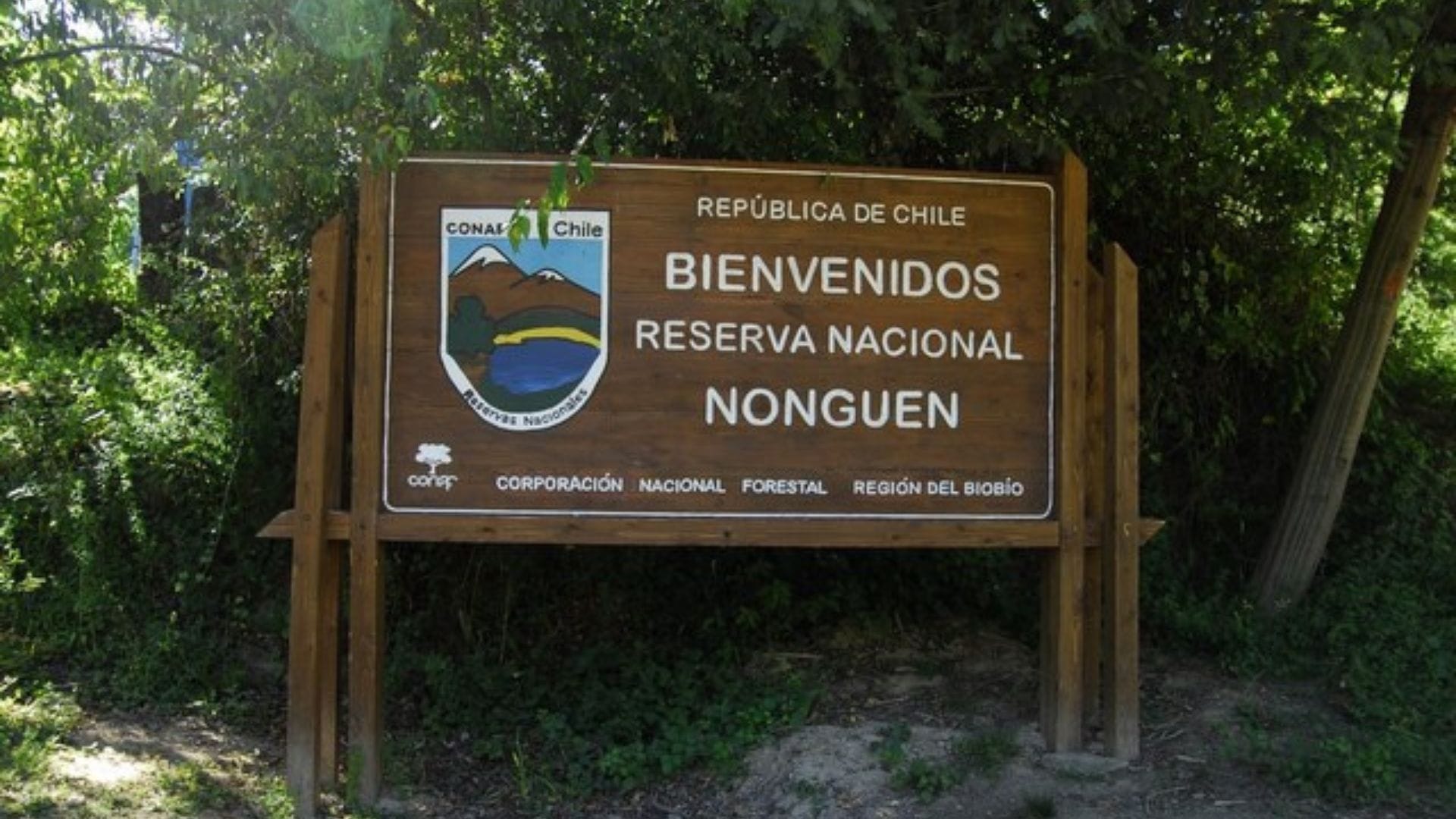 Parque Nacional Nonguén reabre sus puertas a la comunidad tras desborde del estero y daños por lluvias