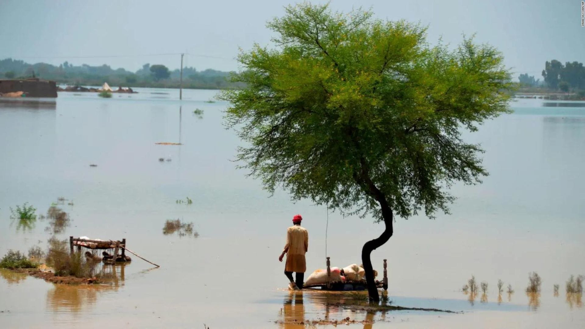 Ocho niños murieron tras un deslizamiento de tierra: Aumenta cifra de fallecidos tras fuertes lluvias en Pakistán