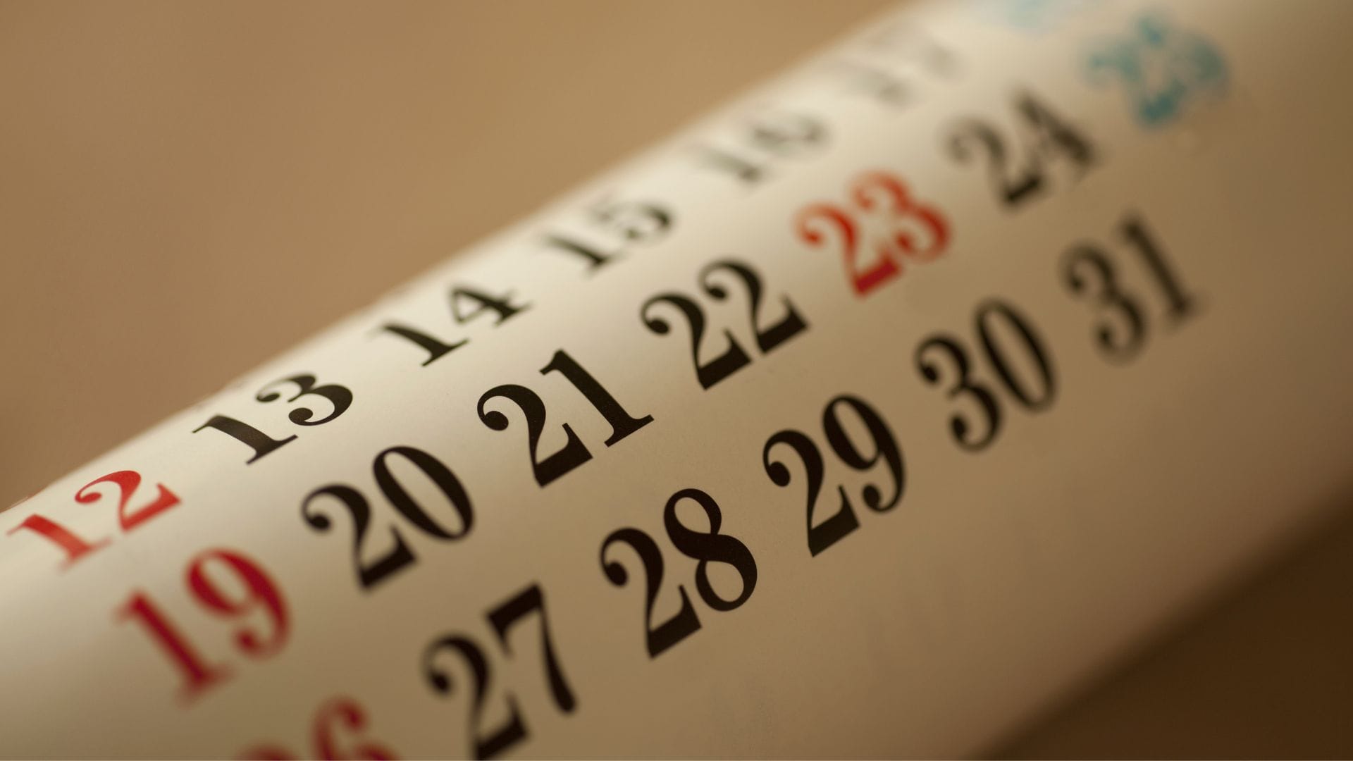 Feriados en Chile 2023: Conoce los días festivos para el mes de octubre