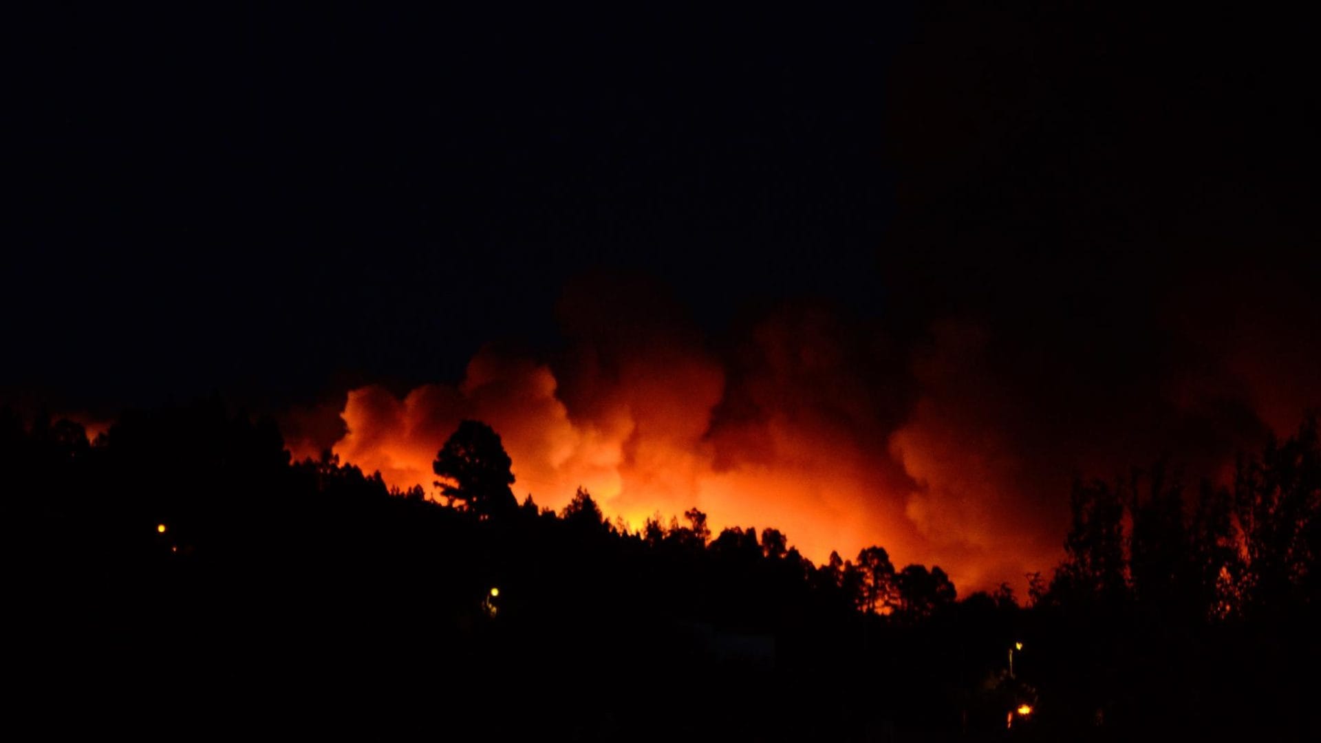 Al menos 15 personas mueren en incendios en el noreste de Argelia: Hay más de 20 heridos