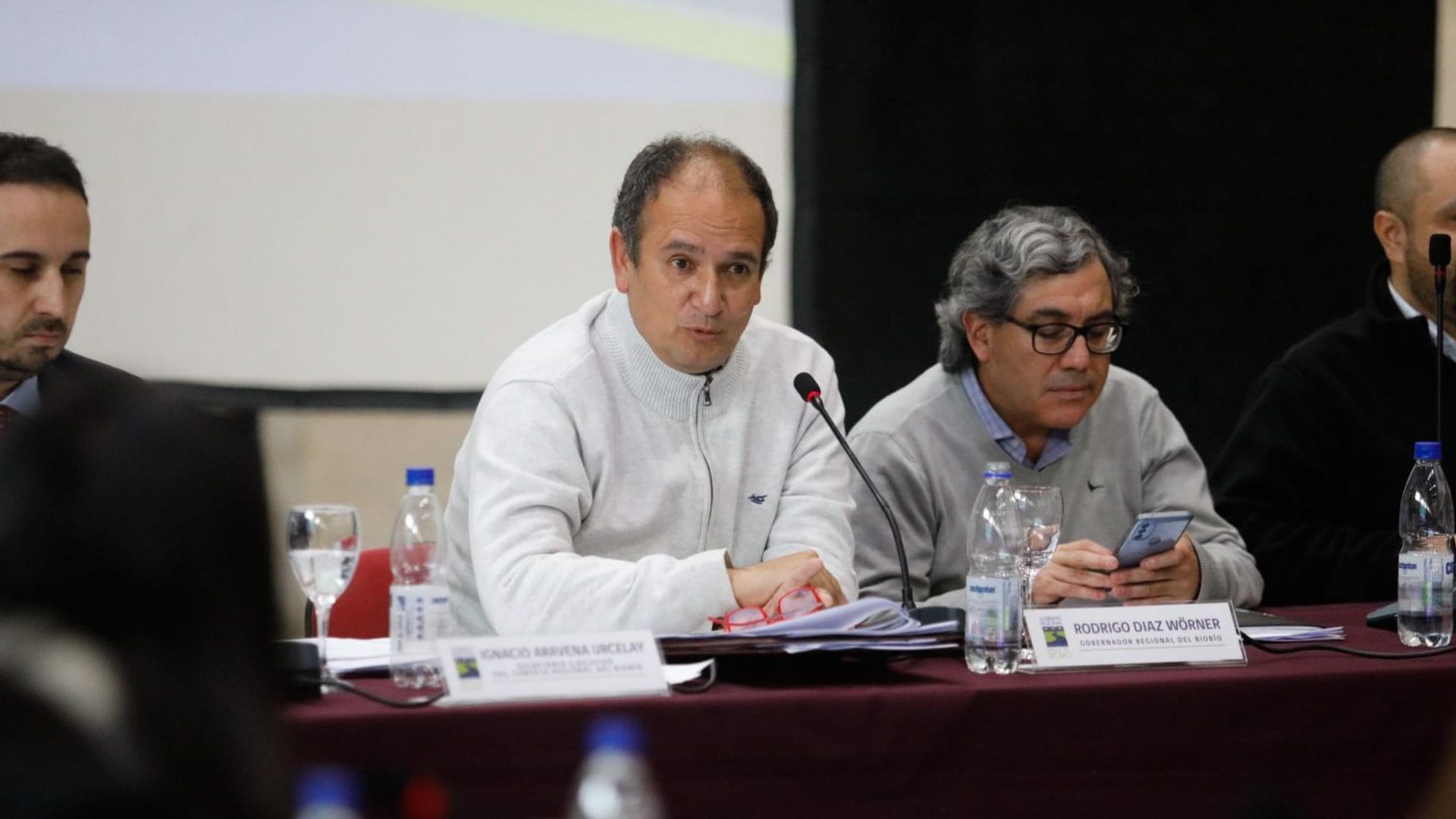 Por 26 votos: Core Biobío aprobó auditoría a programas durante la gestión de Díaz