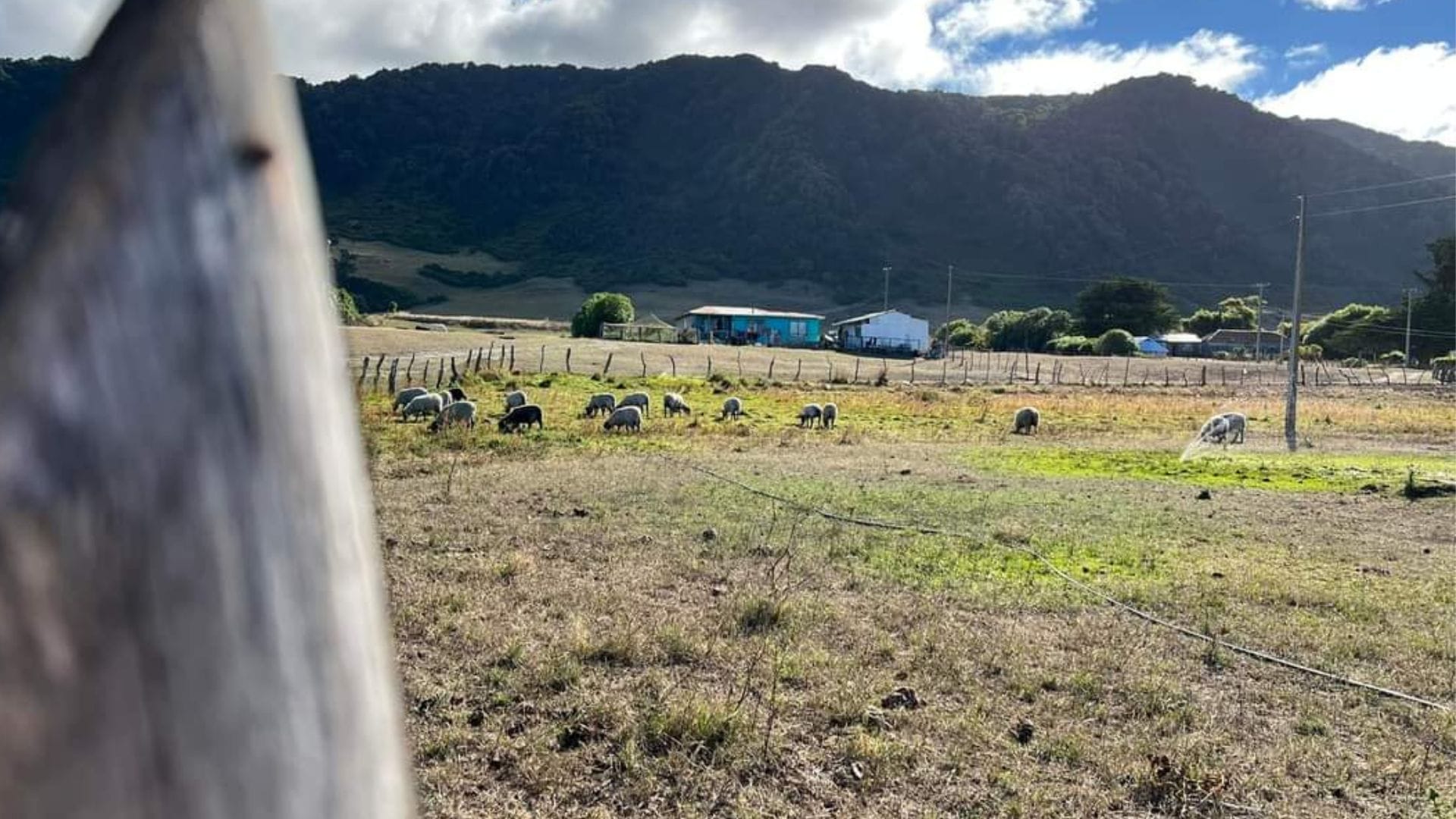 Sin apoyo se queda idea de instalar una cárcel en Isla Mocha