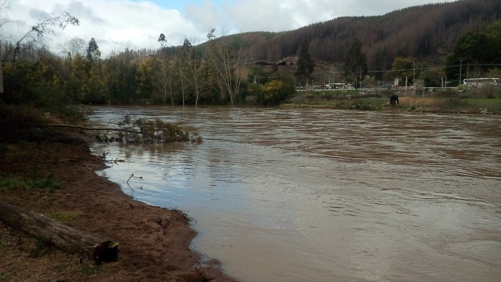 Cancelan Alerta Roja por desborde de río Andalién en Concepción: Se mantendrá Alerta Amarilla