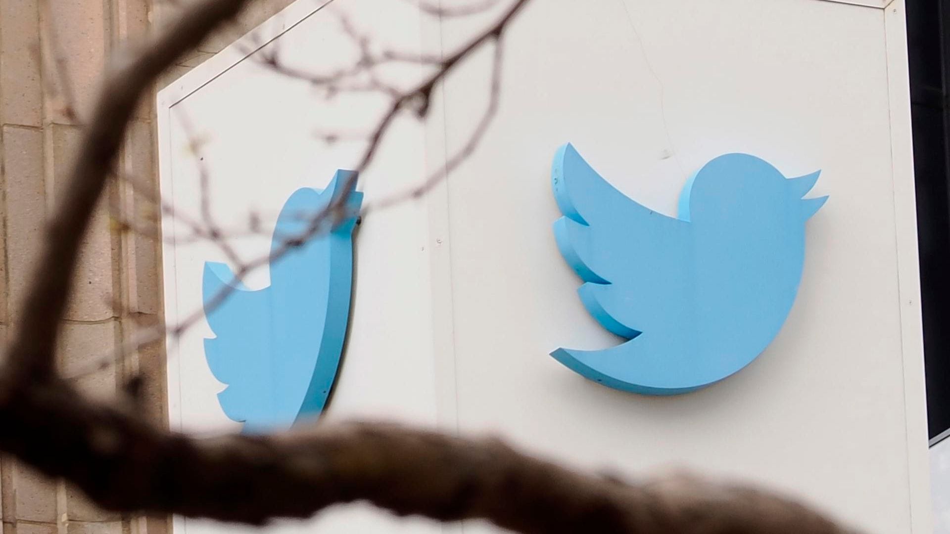 ¡Adiós al pajarito azul de Twitter! Elon Musk modificó el histórico símbolo