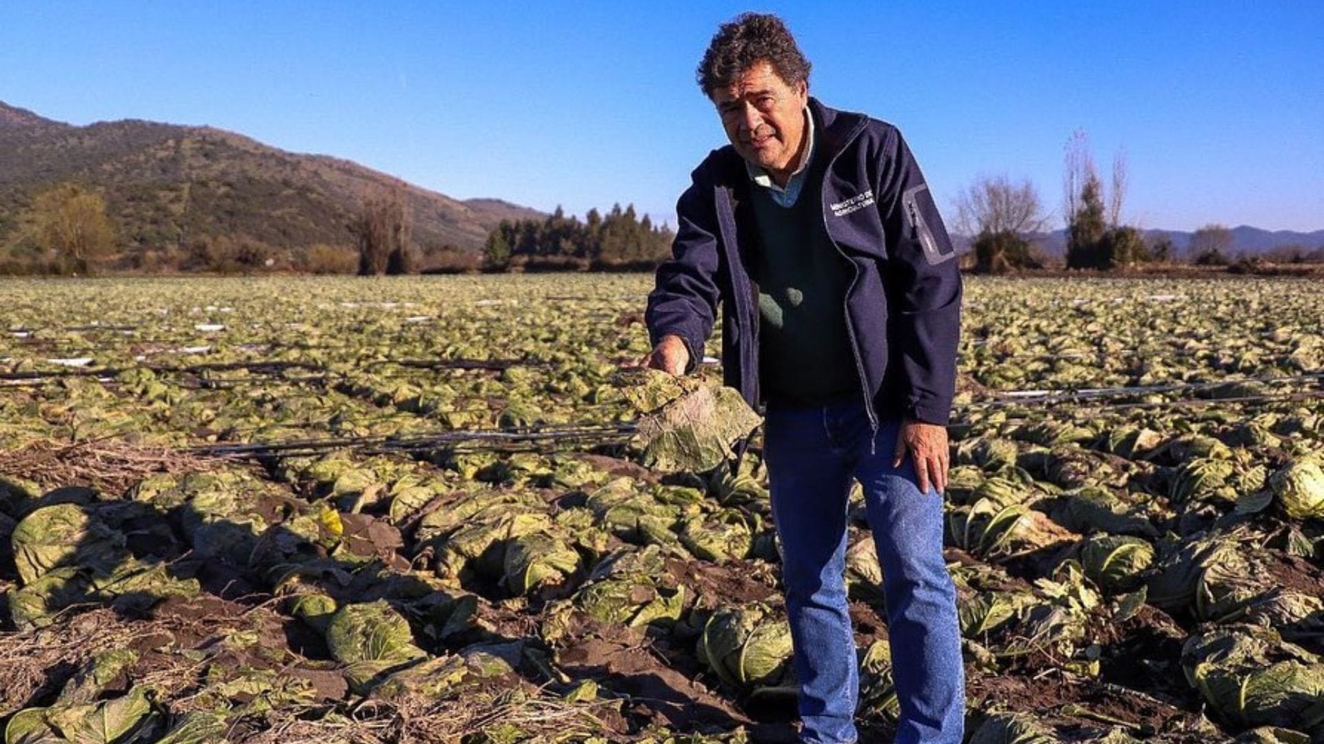 Pese a afectación por sistema frontal: Ministro de Agricultura descartó variaciones de precios en verduras en el Biobío
