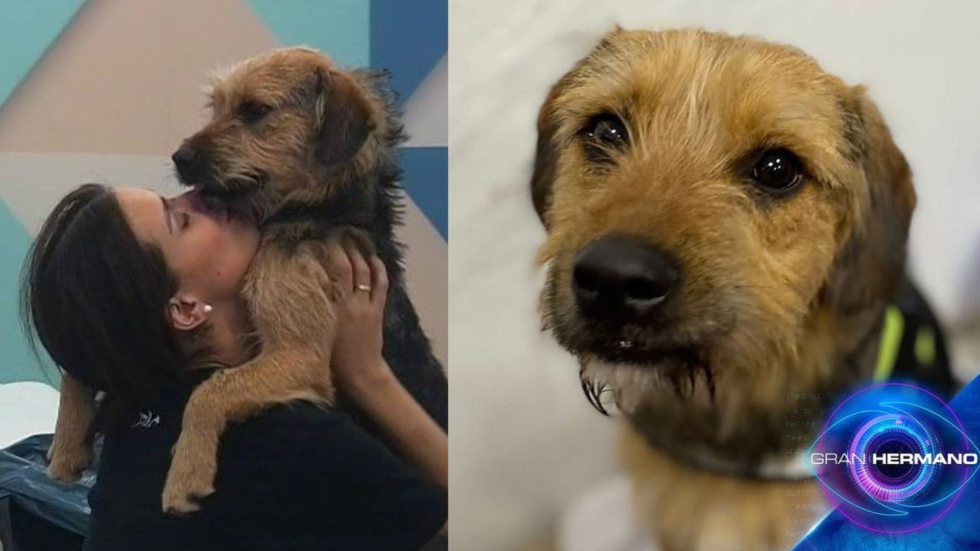 La conmovedora historia de Bigote de “Gran Hermano” que se ha ganado el corazón de los televidentes