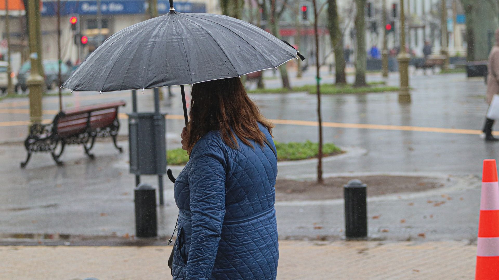 Por sistema frontal en Ñuble: CGE activa plan de acción preventivo
