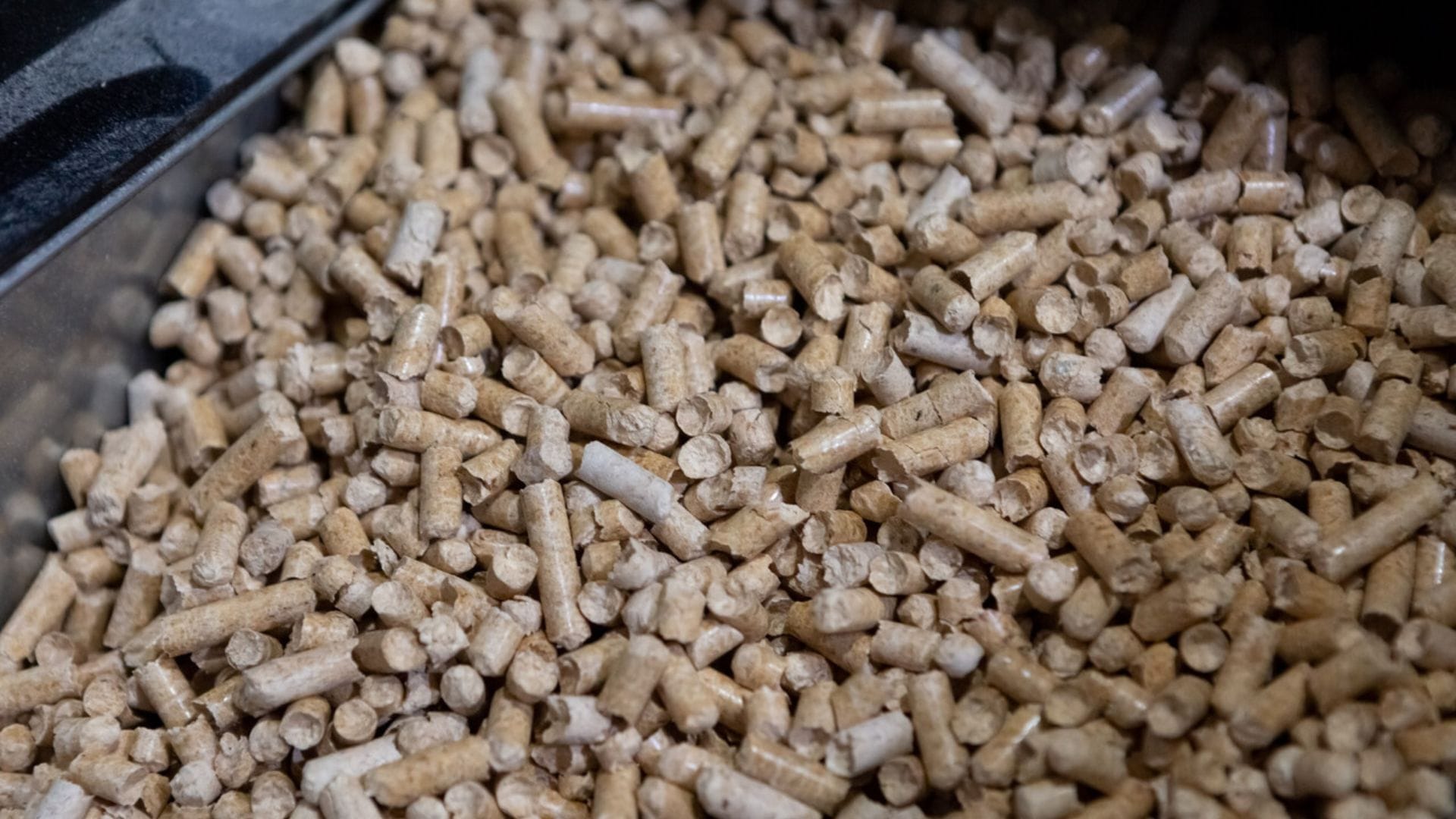 Agricultura llama al uso del pellet para la calefacción domiciliaria: Gore Biobío confirma que recambio de calefactores alcanza el 20%