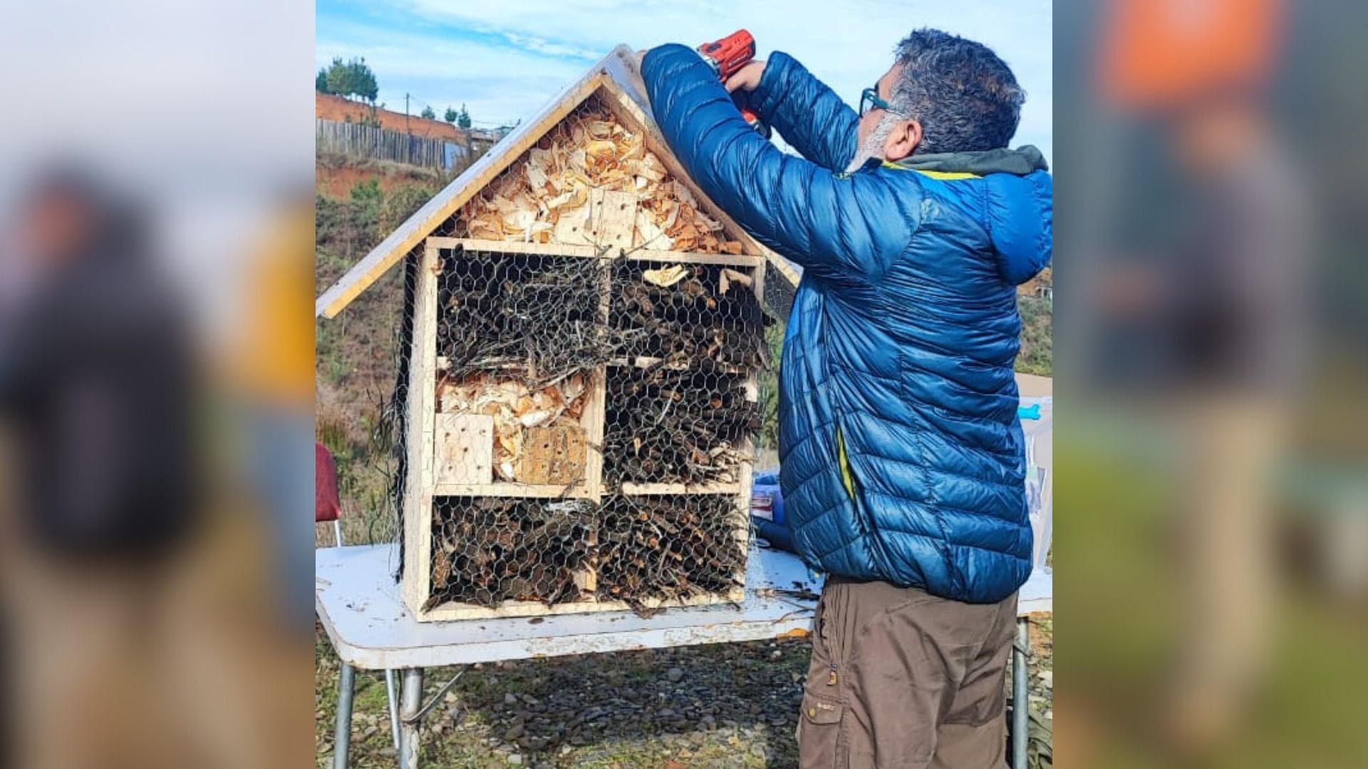Crean e instalan en Curanilahue el primer “hotel para insectos” de Chile