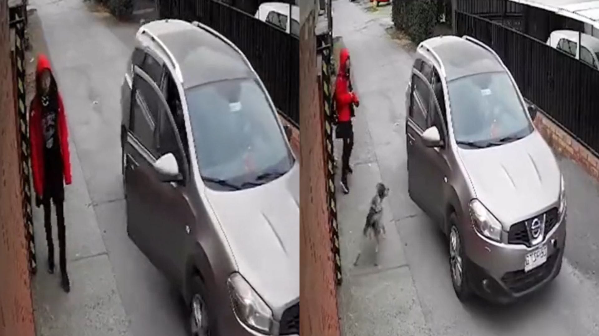 Perro les ladró frustrando el delito: Condenan a cinco años de cárcel a sujetos que intentaron asaltar a niña en Angol