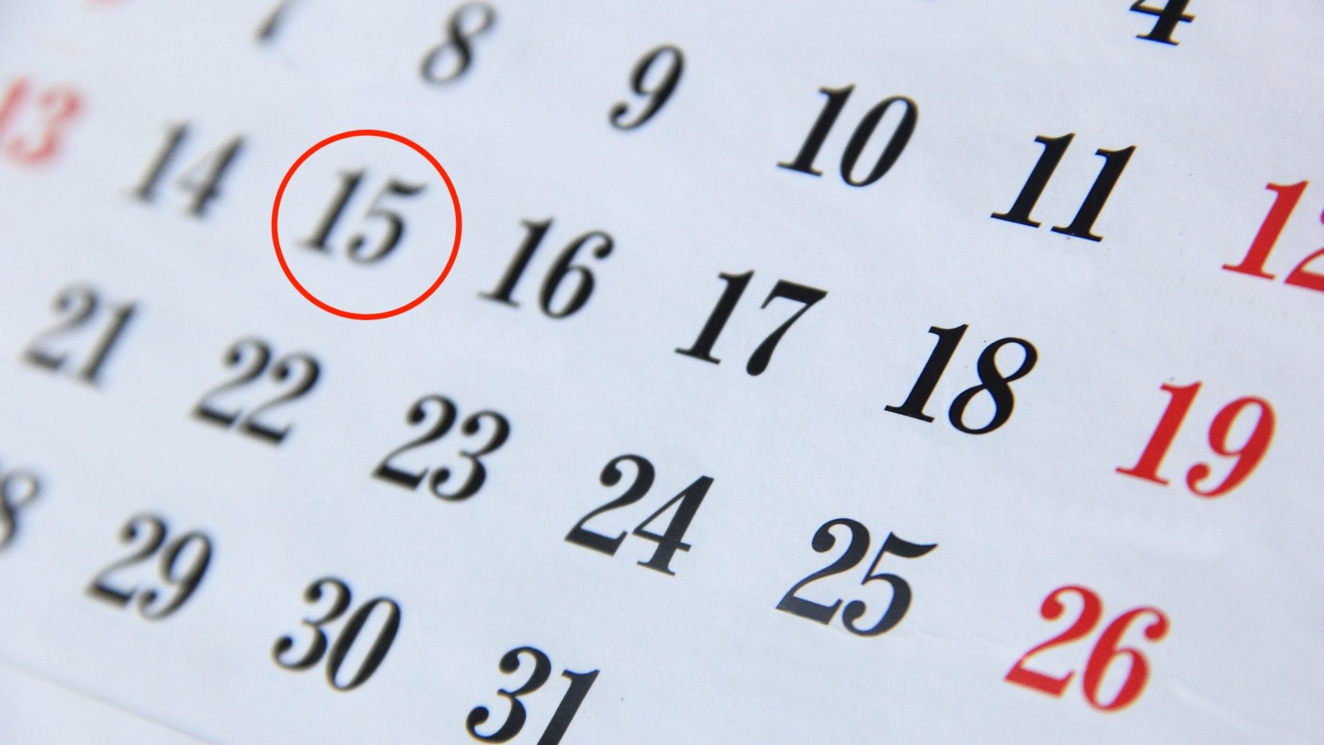 ¿Por qué es feriado este martes 15 de agosto en Chile?