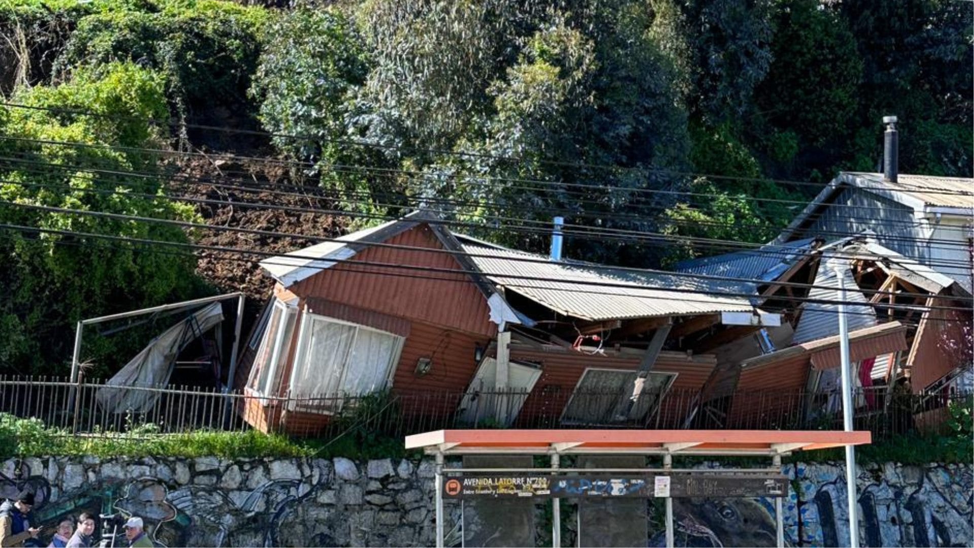 Geólogo de Concepción explicó las causas tras el derrumbe de cerro en Tomé