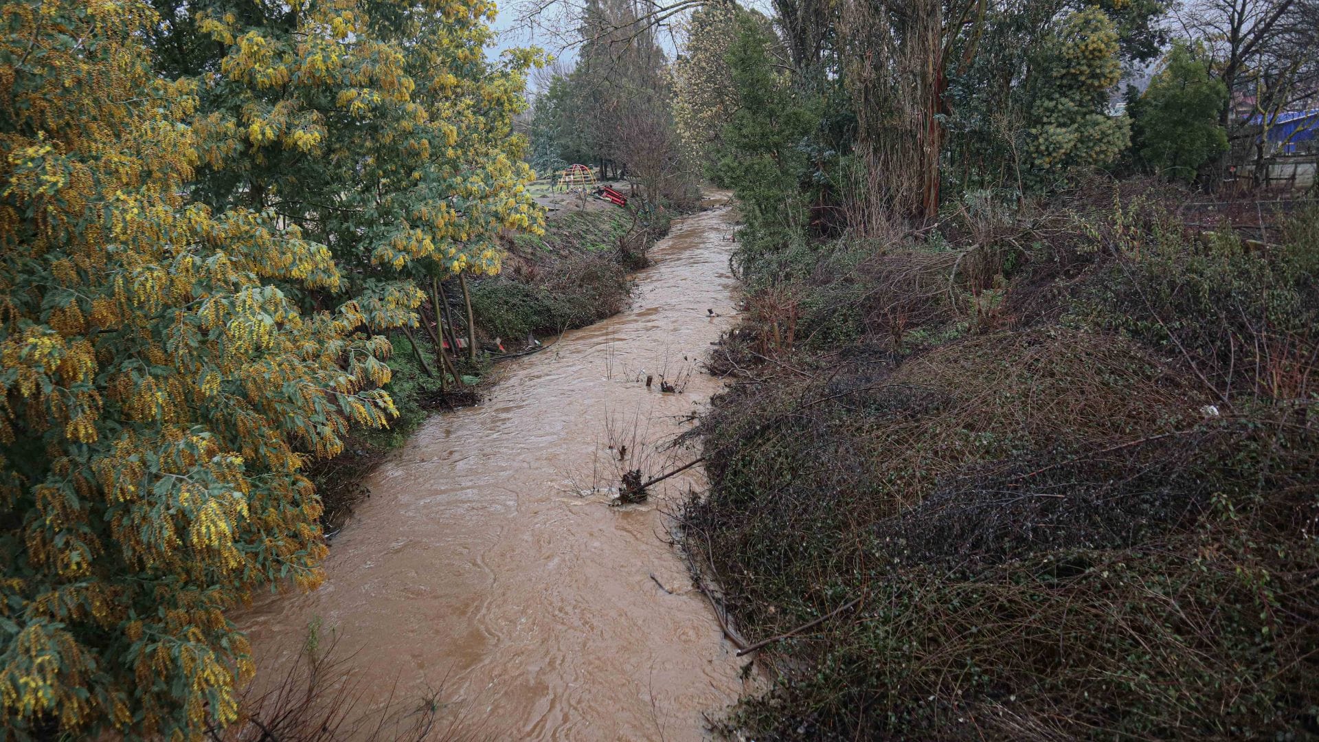 Paso del sistema frontal: ¿Hasta cuándo durarían las lluvias en el Biobío?