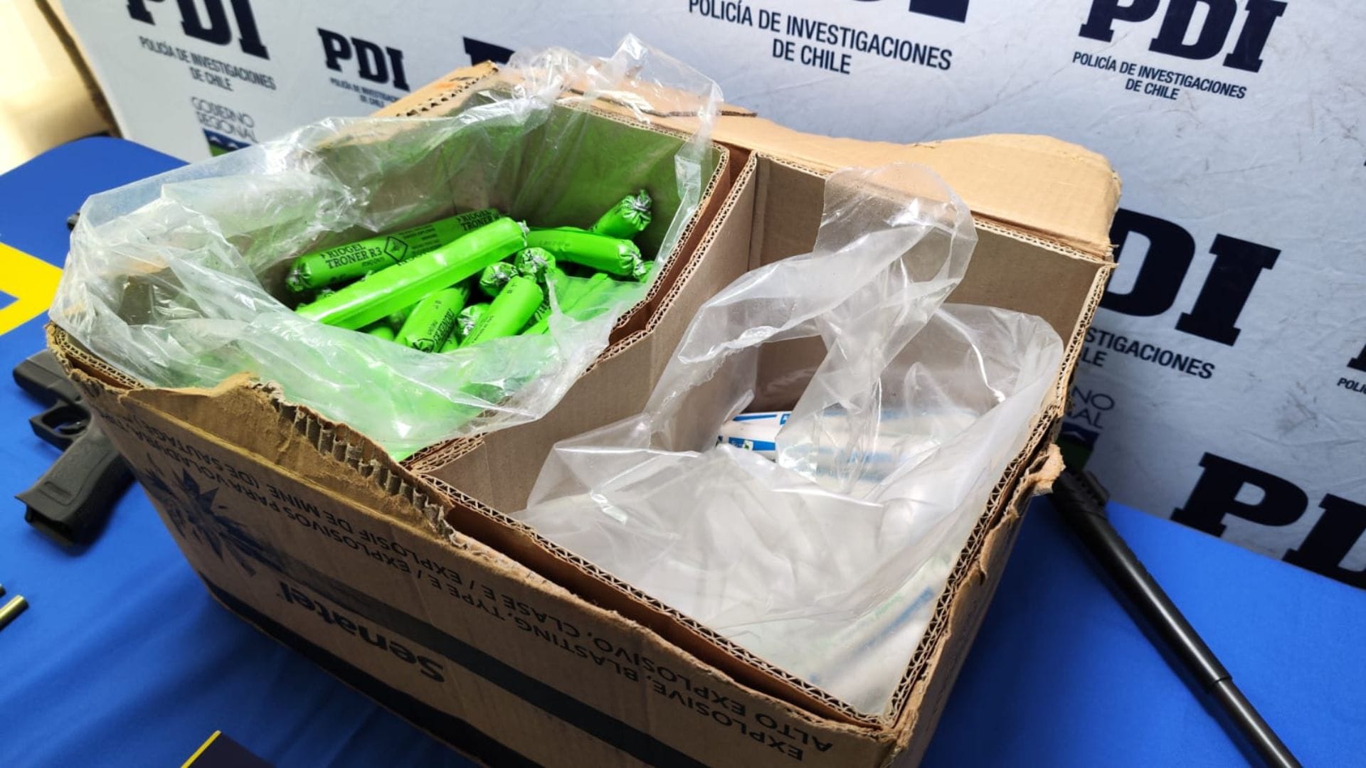 Así cayó uno de los capos del robo de madera en la Provincia de Arauco