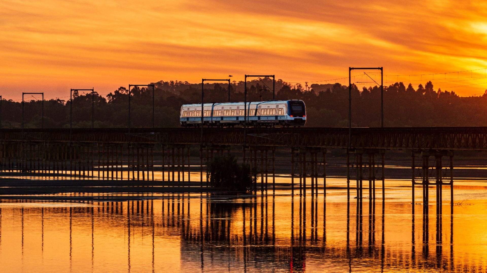 Biotren: Extienden suspensión del servicio sobre el Puente Ferroviario por caudal del Río Biobío