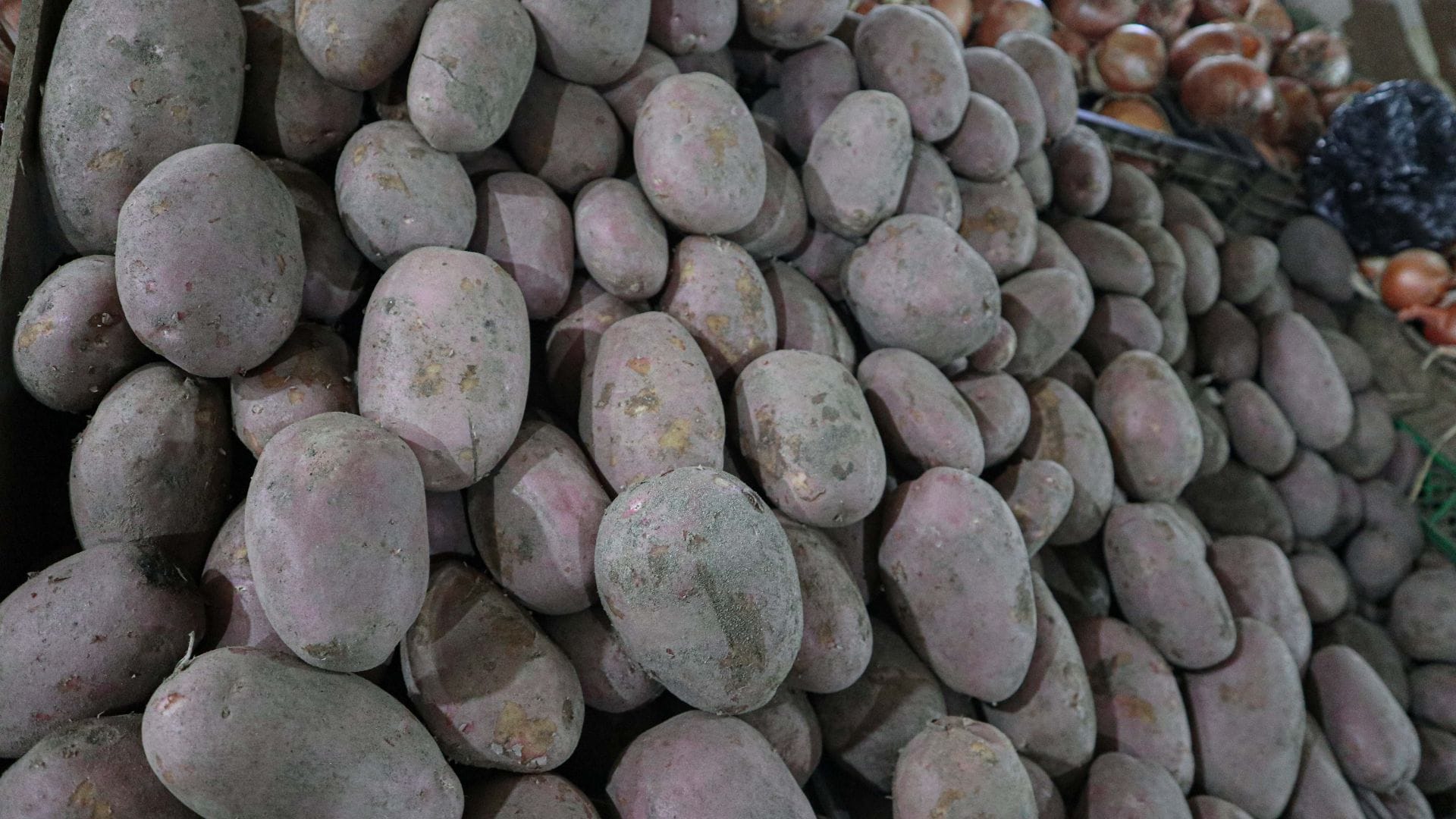 Ferias Libres por alza en el precio de las papas: “Tiene que haber algún tipo de manipulación de los grandes empresarios agrícolas”