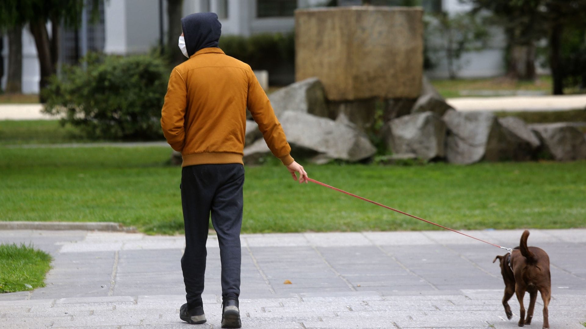 Una víctima paseaba a su mascota: Prisión preventiva para detenidos por asaltos en inmediaciones de la UdeC