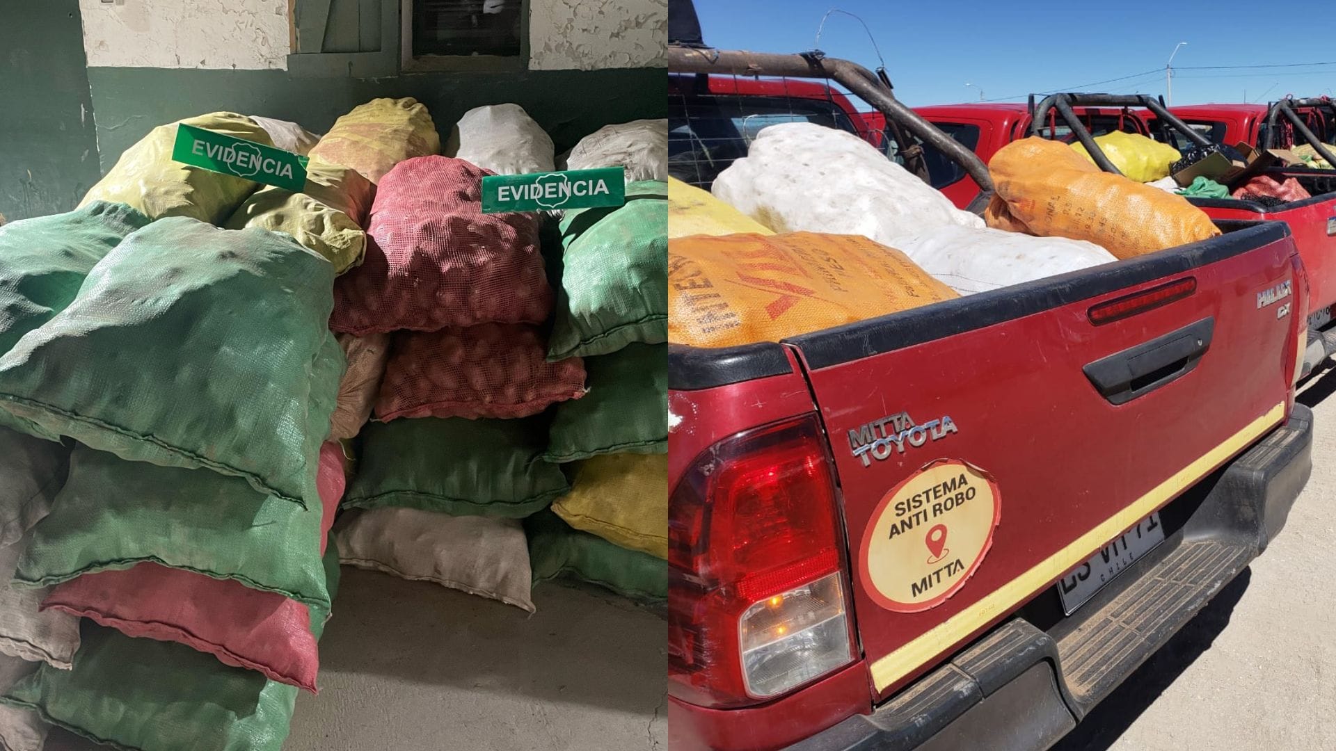 Interceptan 7 toneladas de papas de Perú y Bolivia que iban a ser comercializadas en Chile ante aumento de precios