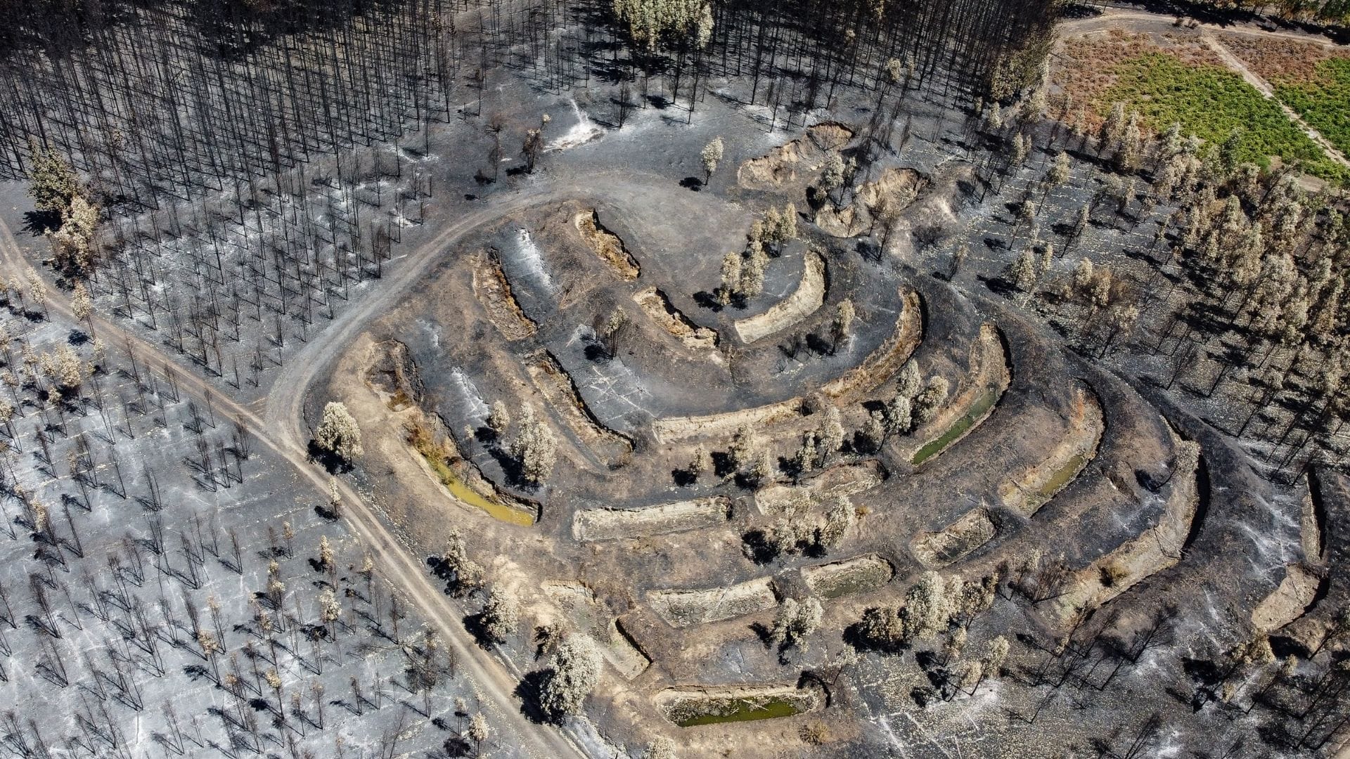 ¿Qué ocurre y qué hacer en los suelos tras los incendios forestales? Recomendaciones desde la ciencia