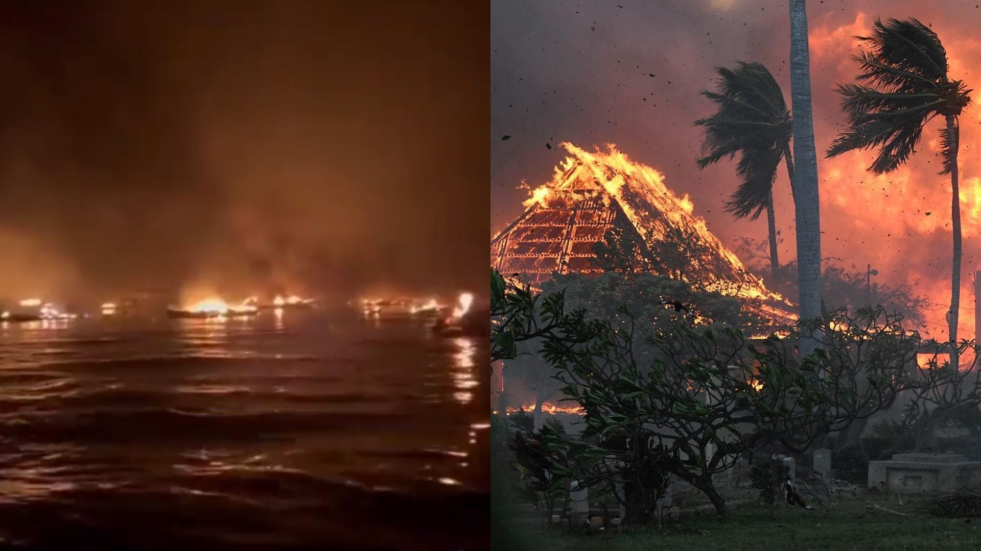 Impresionantes registros: Incendios forestales sin precedentes dejan al menos seis muertos y 20 heridos en Hawái
