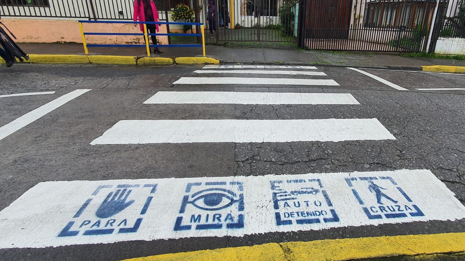 Así son los primeros pictogramas implementados en pasos peatonales para personas TEA en Concepción
