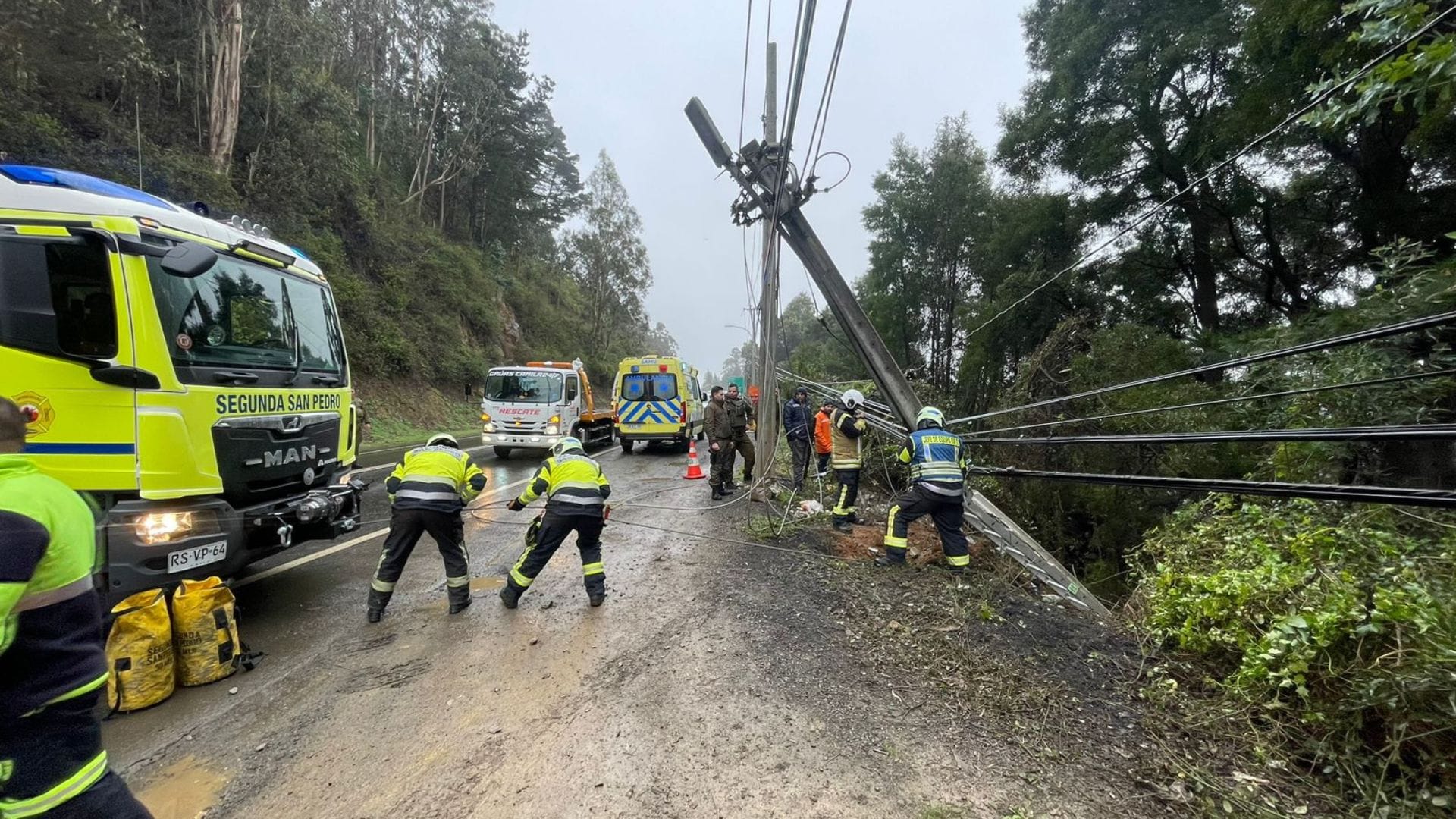 Vehículo cayó al lecho del Río Biobío: Fatal accidente de tránsito deja un fallecido y heridos en la Ruta de la Madera
