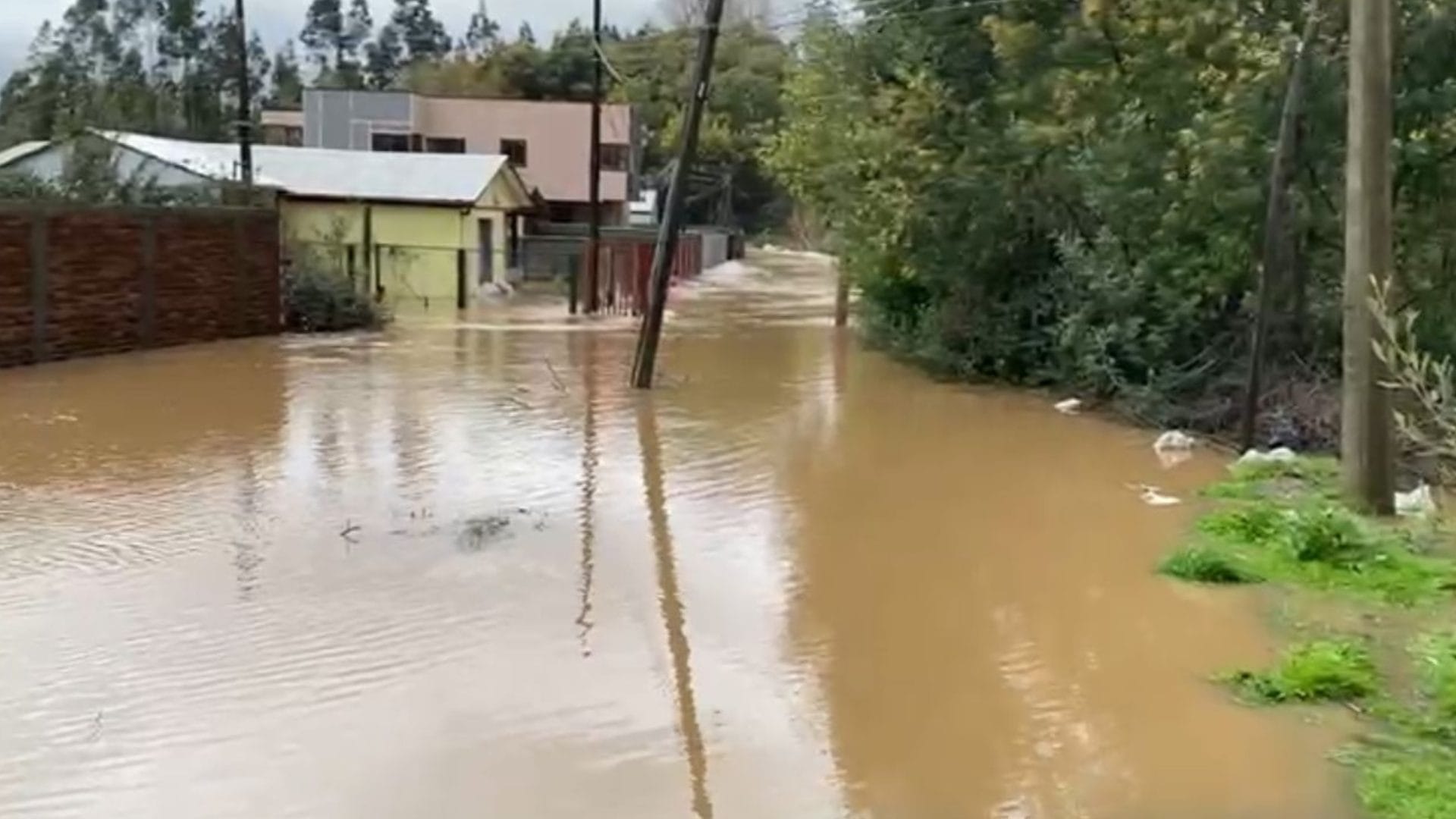 Alrededor de 19 casas afectadas en Concepción tras desborde del río Andalién