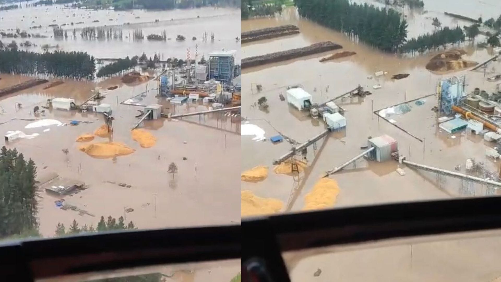 Arauco detuvo algunas de sus plantas en la Región del Maule tras fuerte temporal en la zona