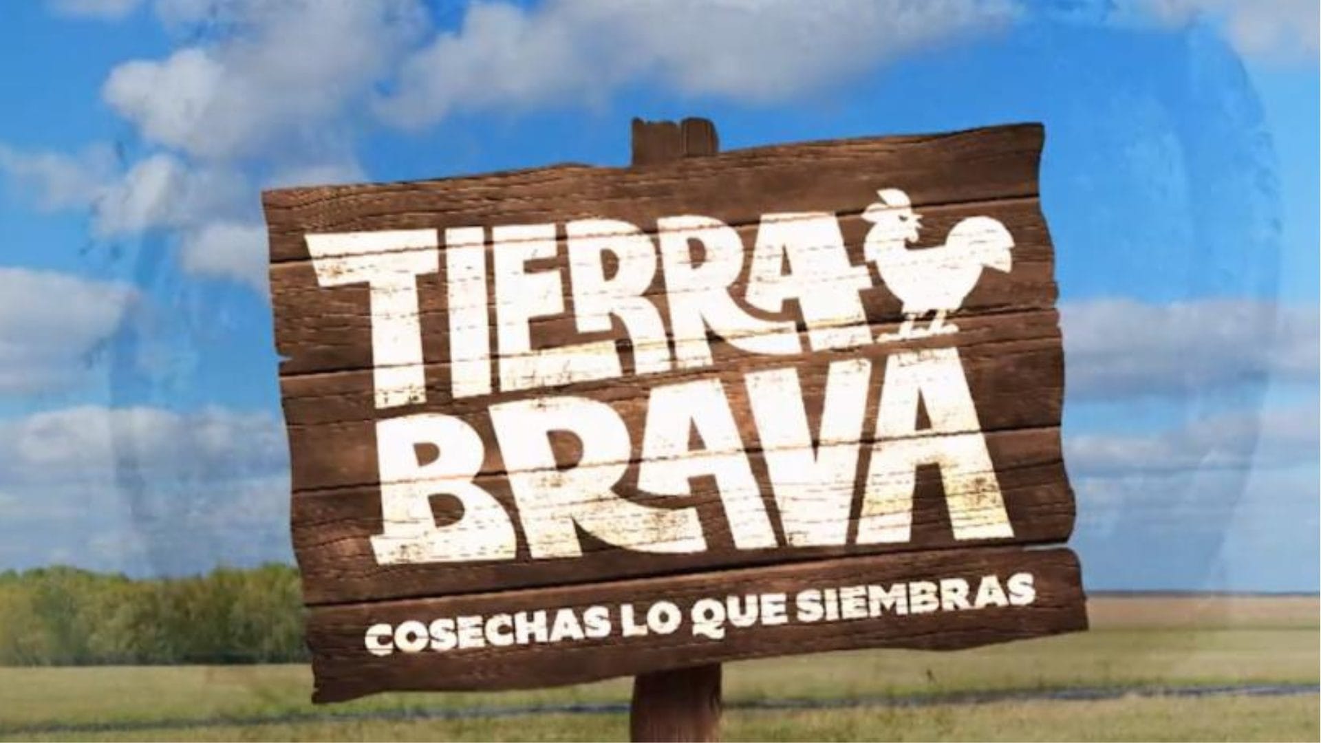 Entregan detalles de cómo será la final de “Tierra Brava”