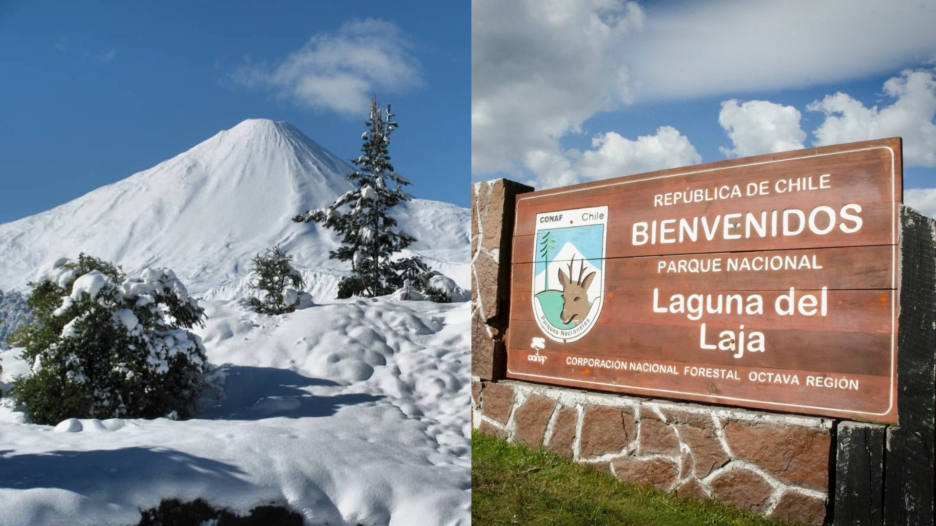 Parque Nacional Laguna del Laja reabre sus puertas tras dos semanas