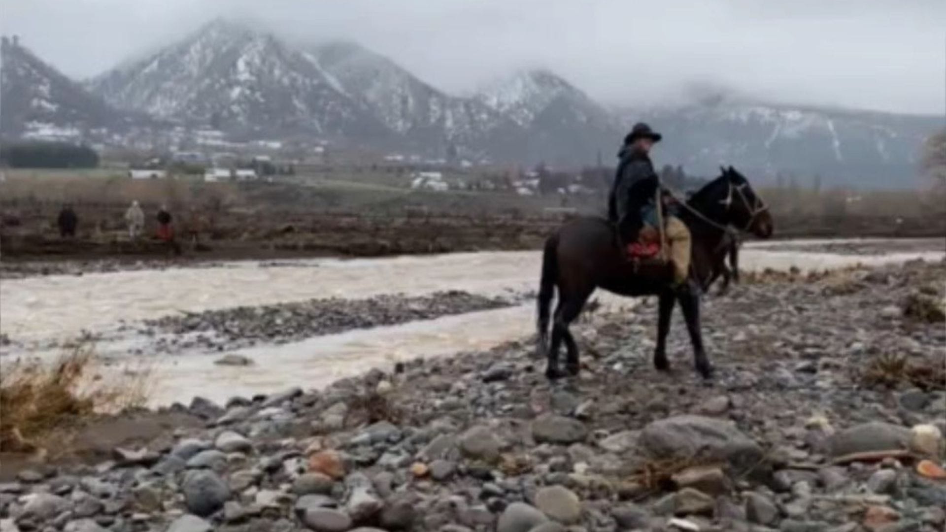 Tragedia en Alto Biobío: Falleció Madre que intentó cruzar el río a caballo junto a hijo