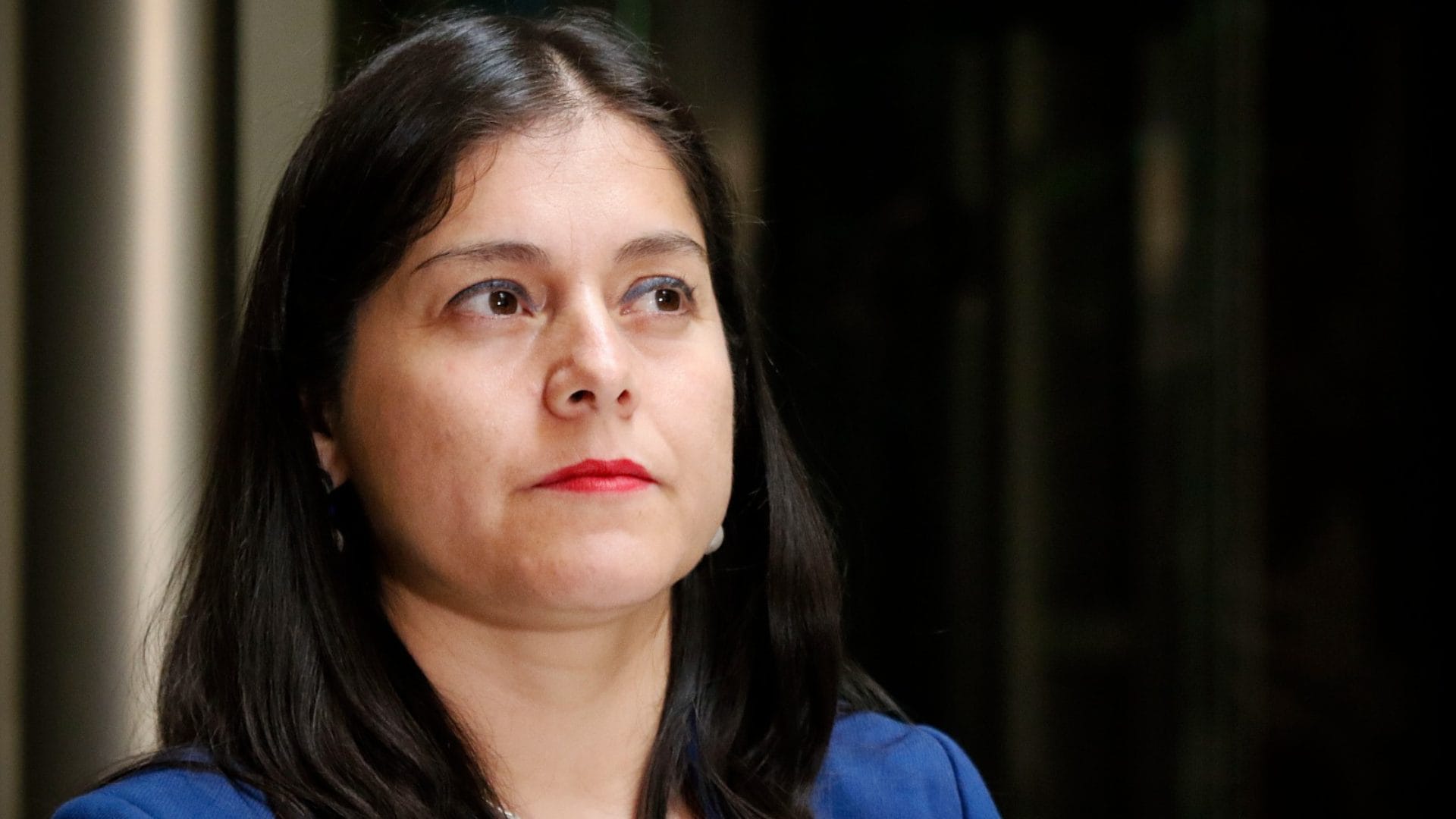 “Sería un disparo en los pies del Gobierno”: Medina (PDG) sobre veto a Ley de Usurpaciones