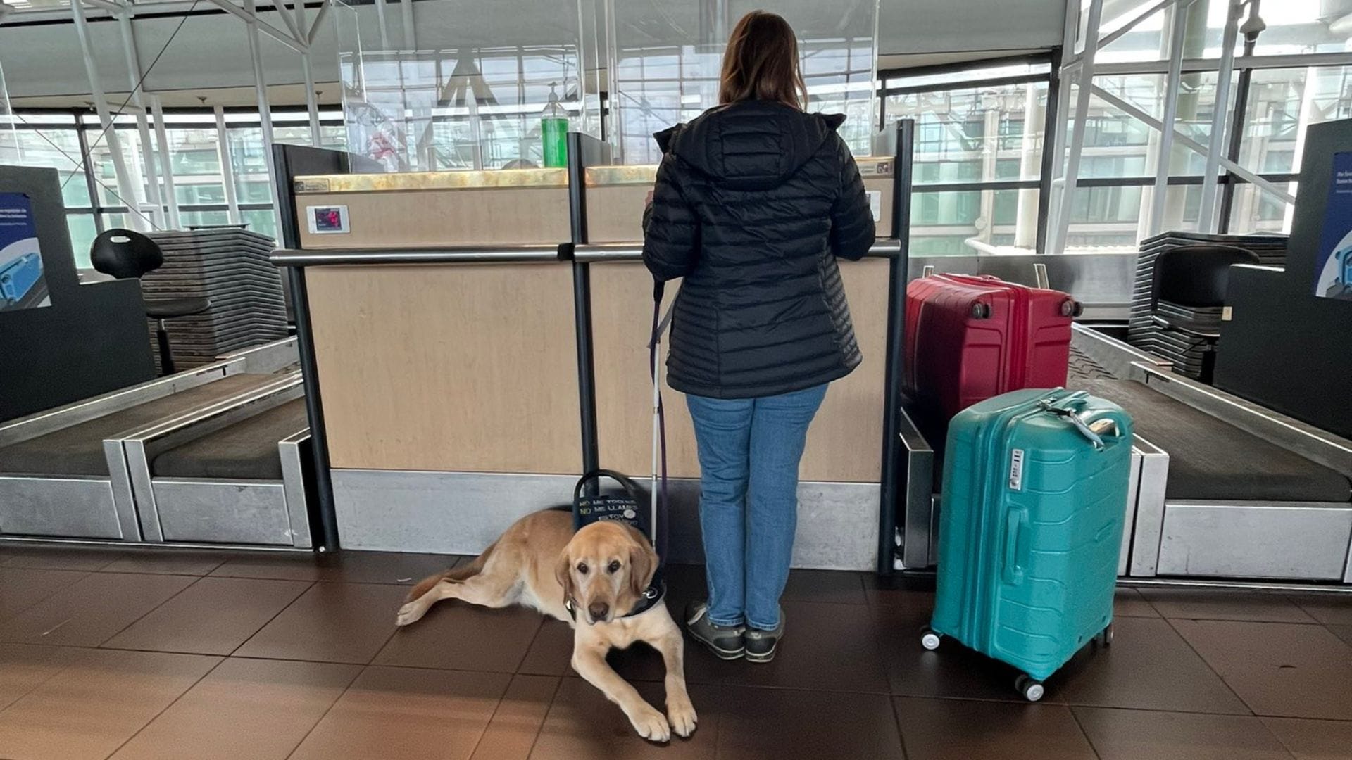 Mujer con discapacidad visual alza la voz: Denuncia que no dejan subir a perro guía a su vuelo