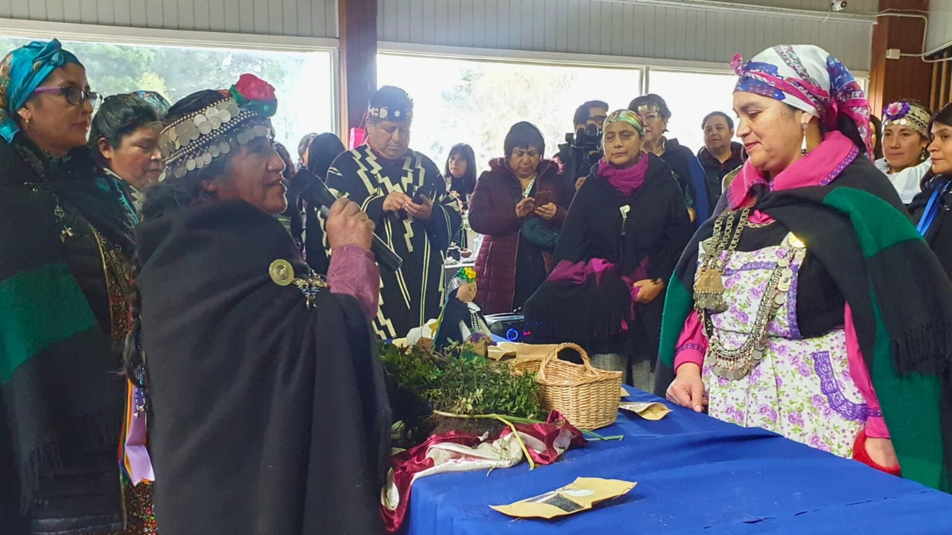 Día de la Mujer Indígena en Concepción: Homenajeada recuerda represión a pueblo mapuche en dictadura