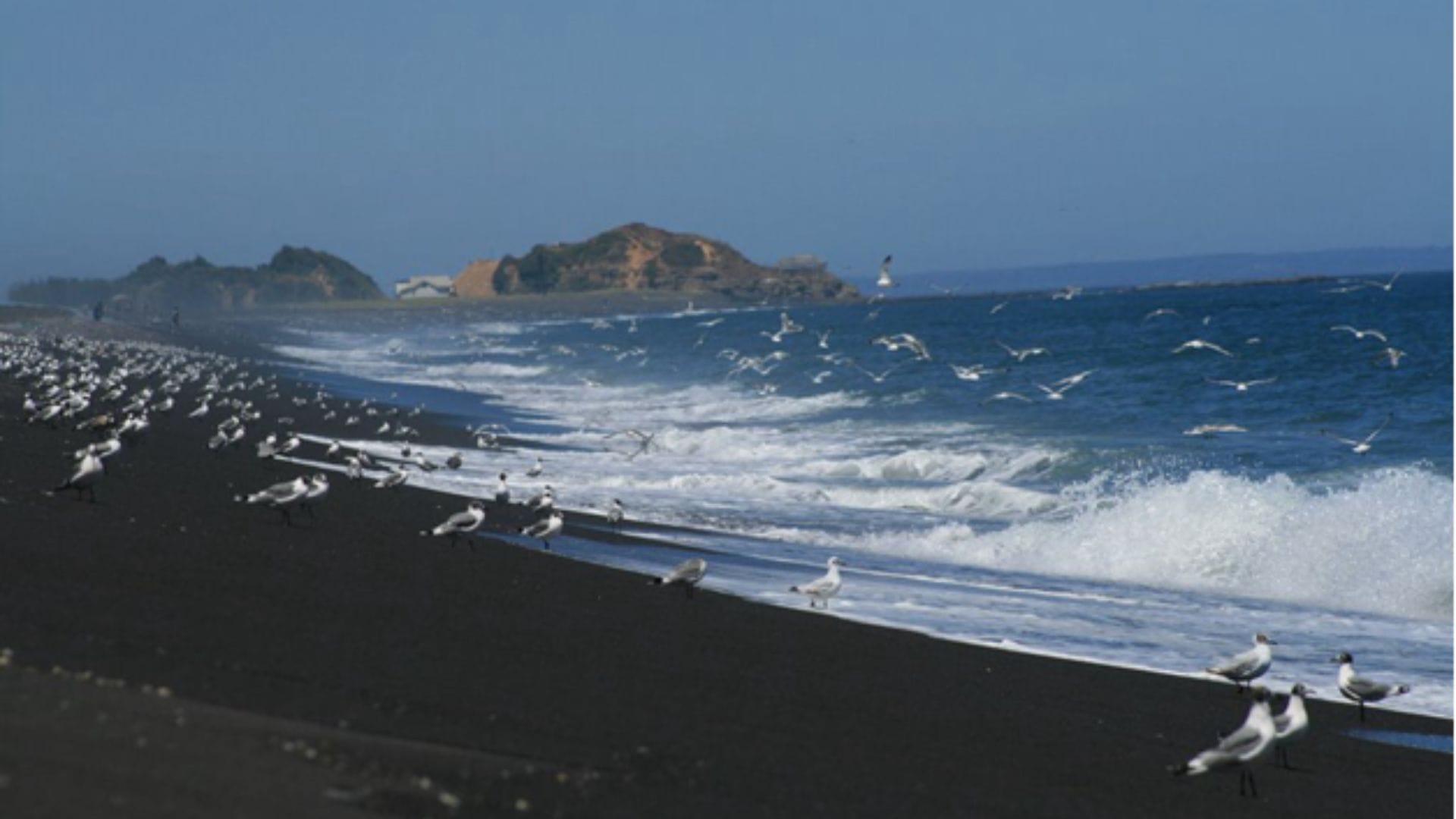 Encuentran cuerpo sin vida de una mujer en playa de Escuadrón: Mantenía denuncia por presunta desgracia