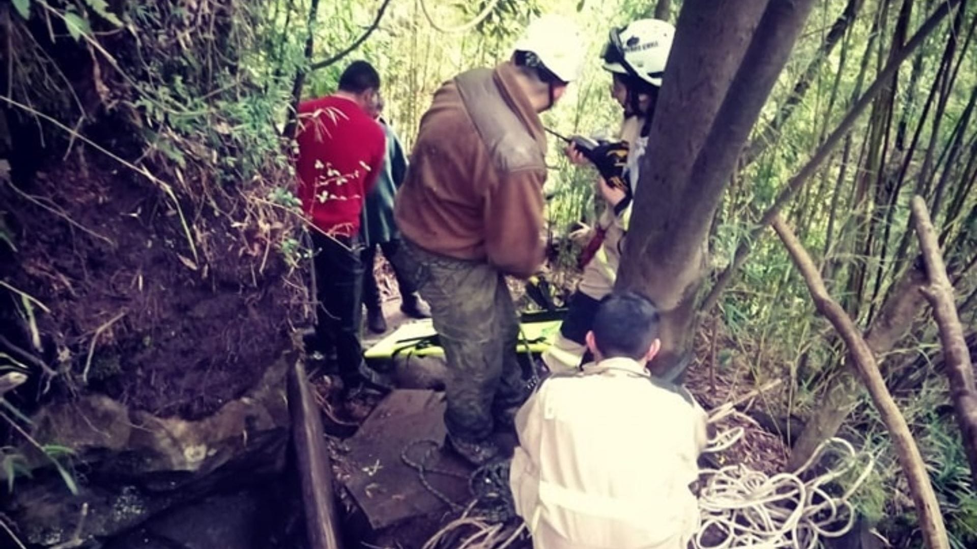 Excursionista cayó a quebrada durante expedición en Panguipulli: Resultó con lesiones
