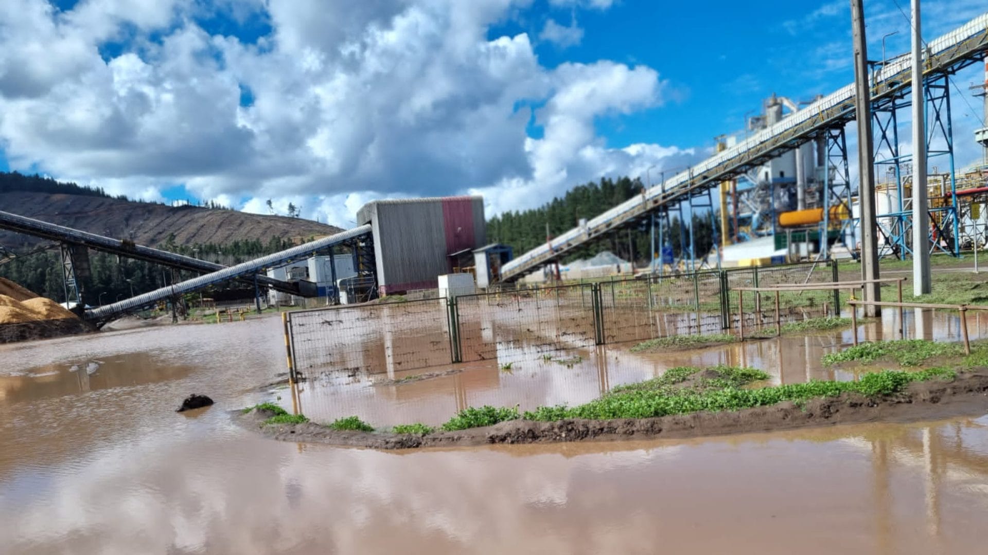 Arauco anuncia suspensión indefinida en la producción de planta en Licantén