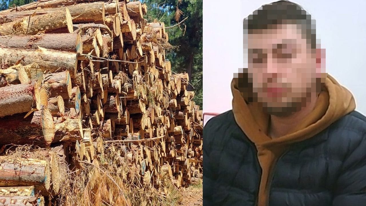 El rol del carabinero activo en la acción de grupo detenido en Provincia de Arauco: Recibió pagos por $3,5 millones