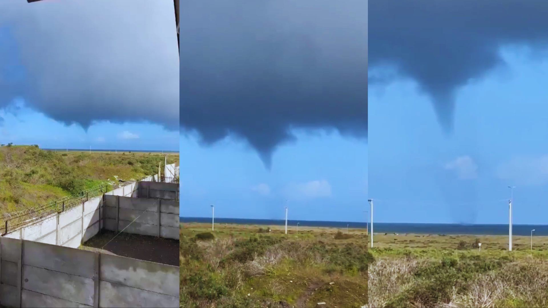Captan tromba marina en San Pedro de la Paz