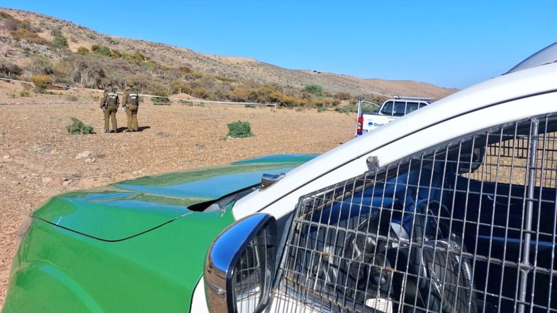 Cuerpo de mujer fue encontrado en sitio eriazo de Ovalle: Arriero reportó el hallazgo