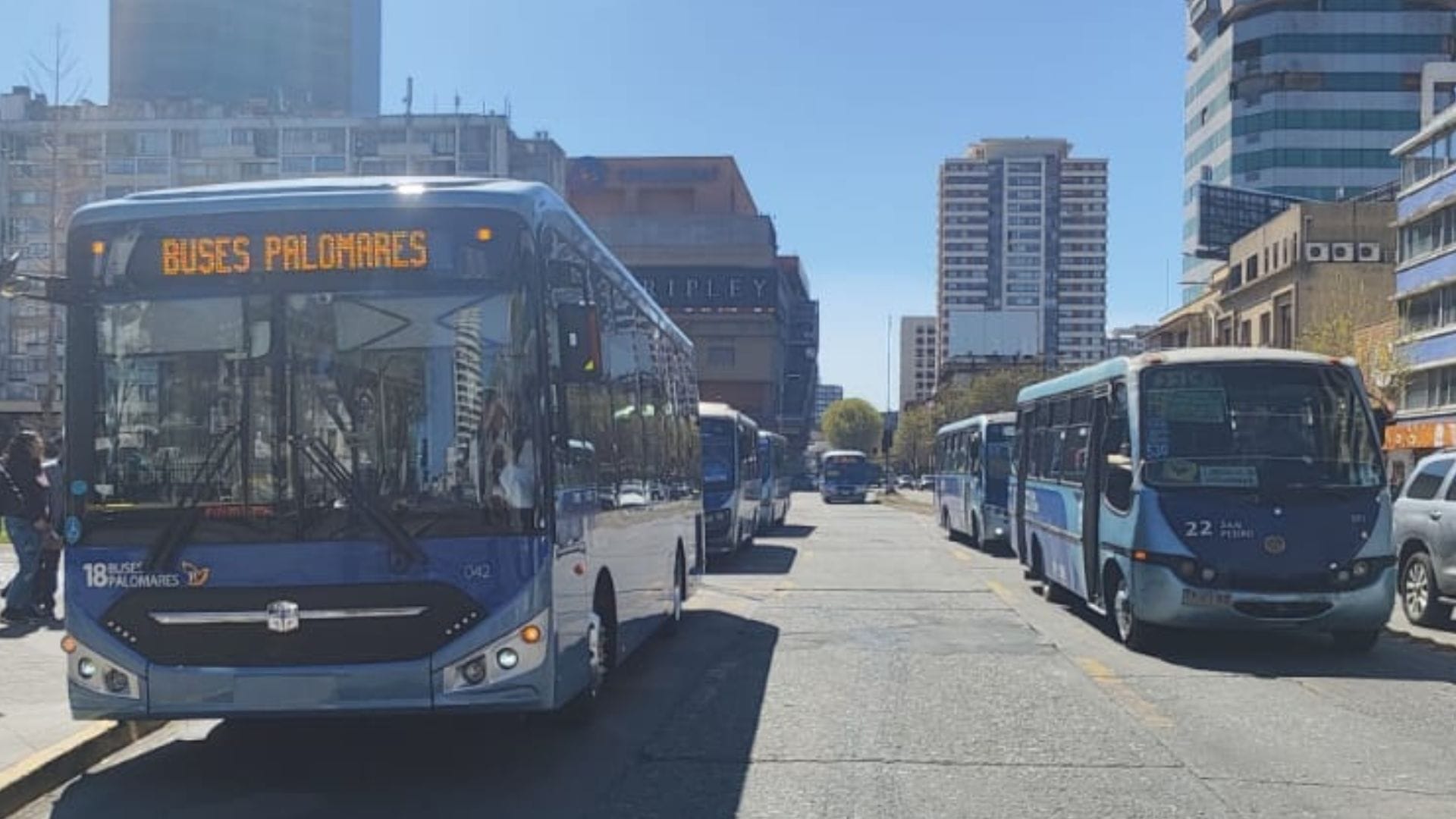 Programas y subvenciones: Las iniciativas para renovar el transporte público en el Biobío