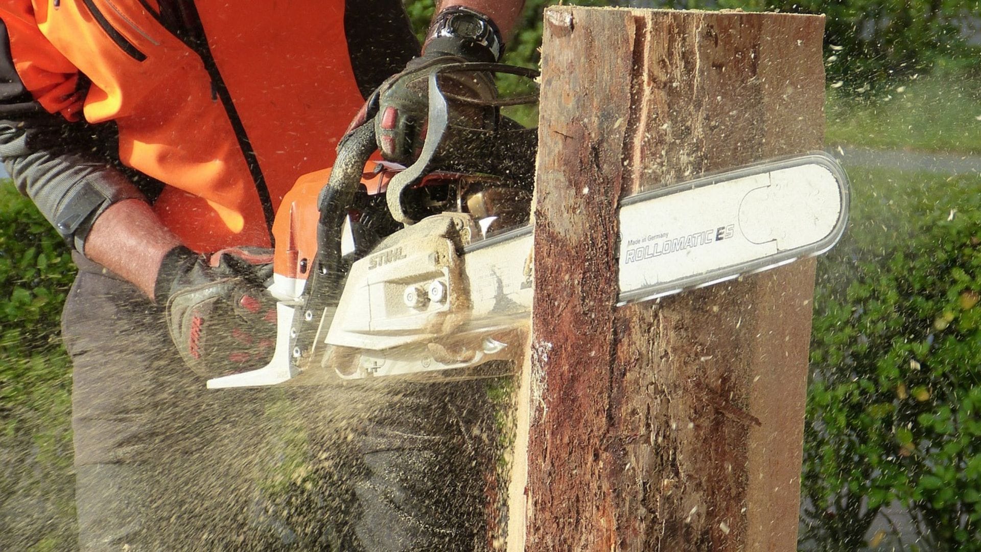 Trabajador talaba con motosierra y murió tras caerle un árbol encima en La Unión