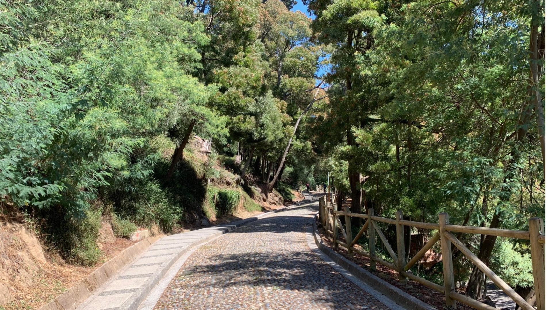 Realizarán reapertura total del parque Cerro Caracol en Concepción: Será a fines de octubre