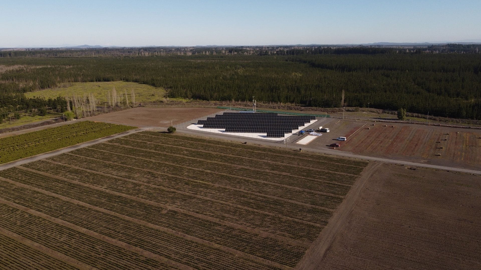 Inauguran el primer parque fotovoltaico para viveros de CMPC en Cabrero