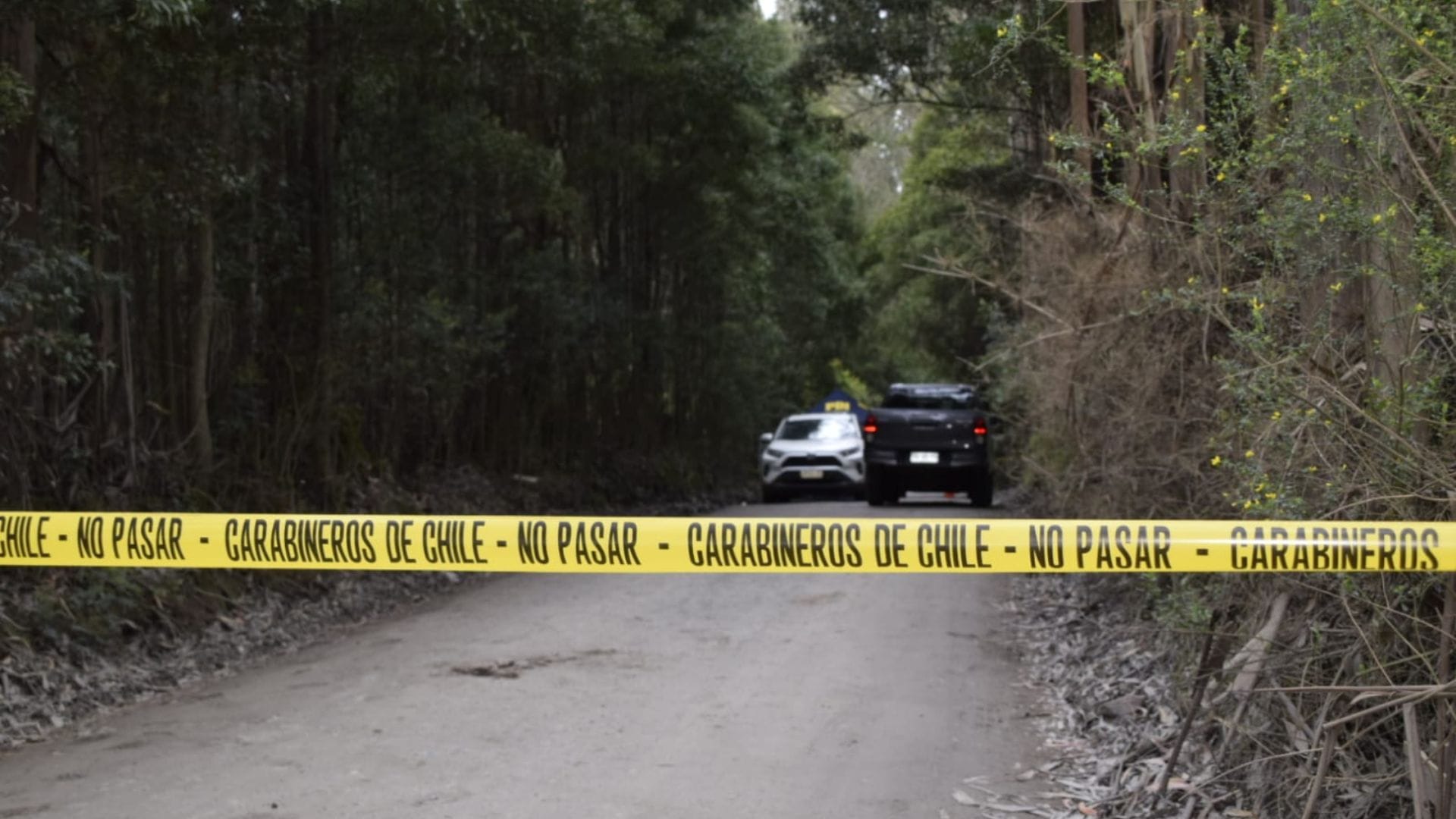 Alcalde de Hualpén tras hallazgo de cadáver en Chome: “Llevamos tres asesinatos en menos de dos meses”