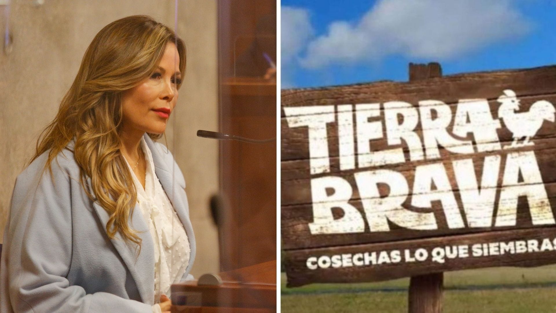 Cathy Barriga reveló los motivos por los que rechazó ingresar a Tierra Brava