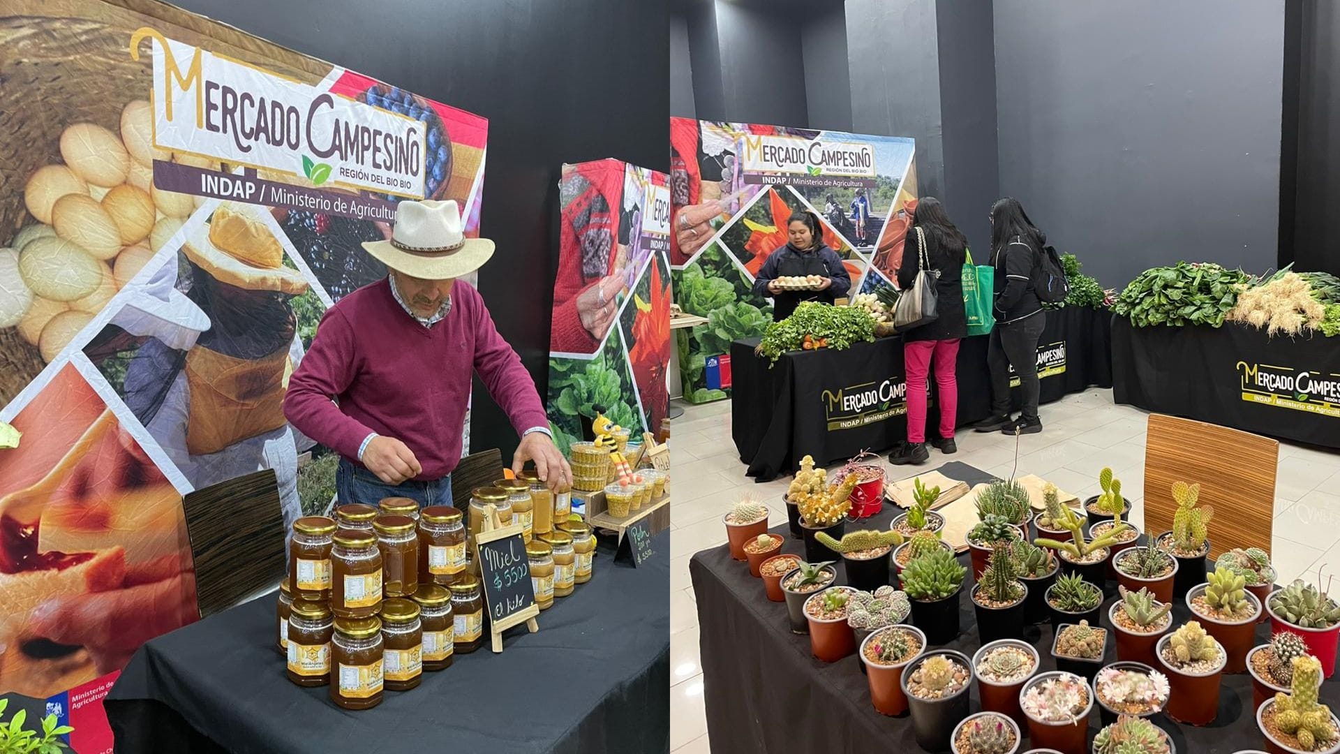 Puro producto local: Mercado Campesino llega al centro de Concepción